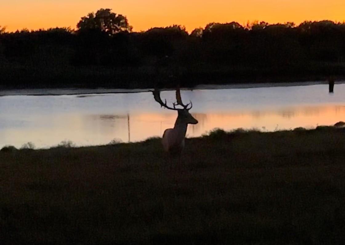 7800 County Road 210, Bertram, TX 78605