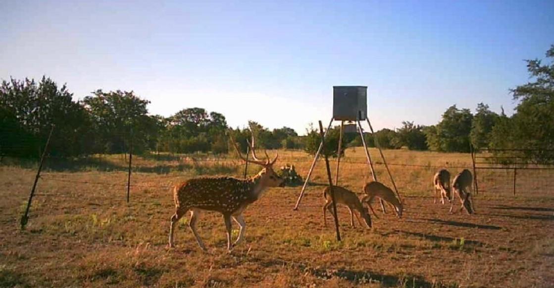 7800 County Road 210, Bertram, TX 78605