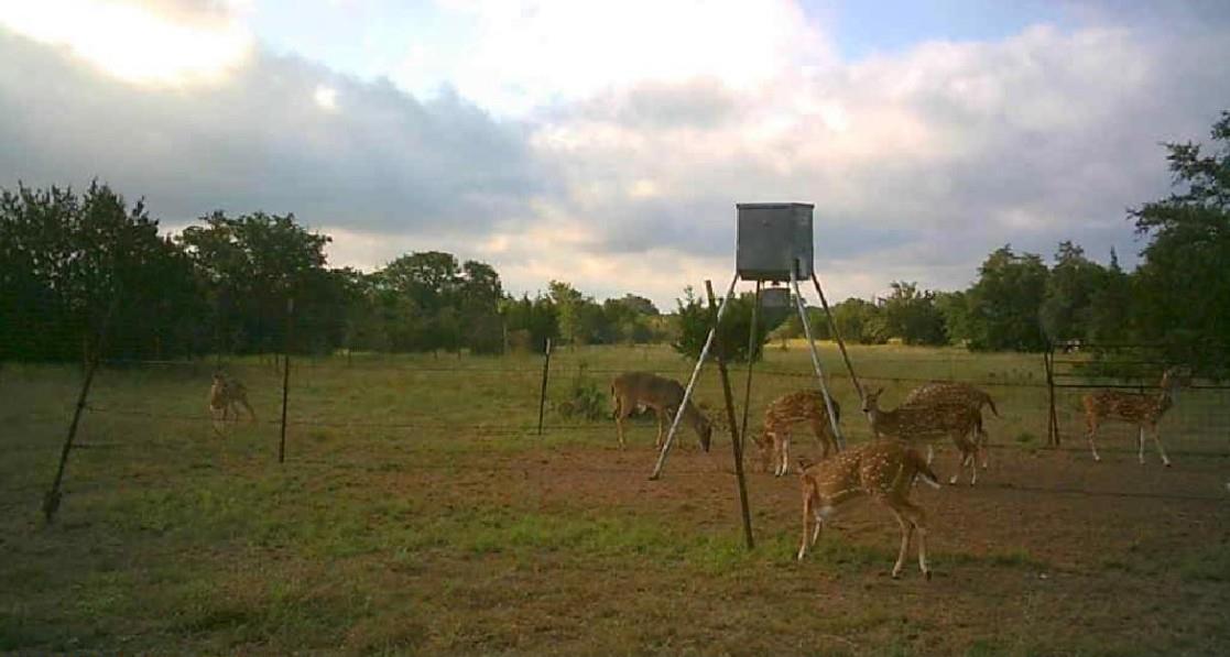 7800 County Road 210, Bertram, TX 78605