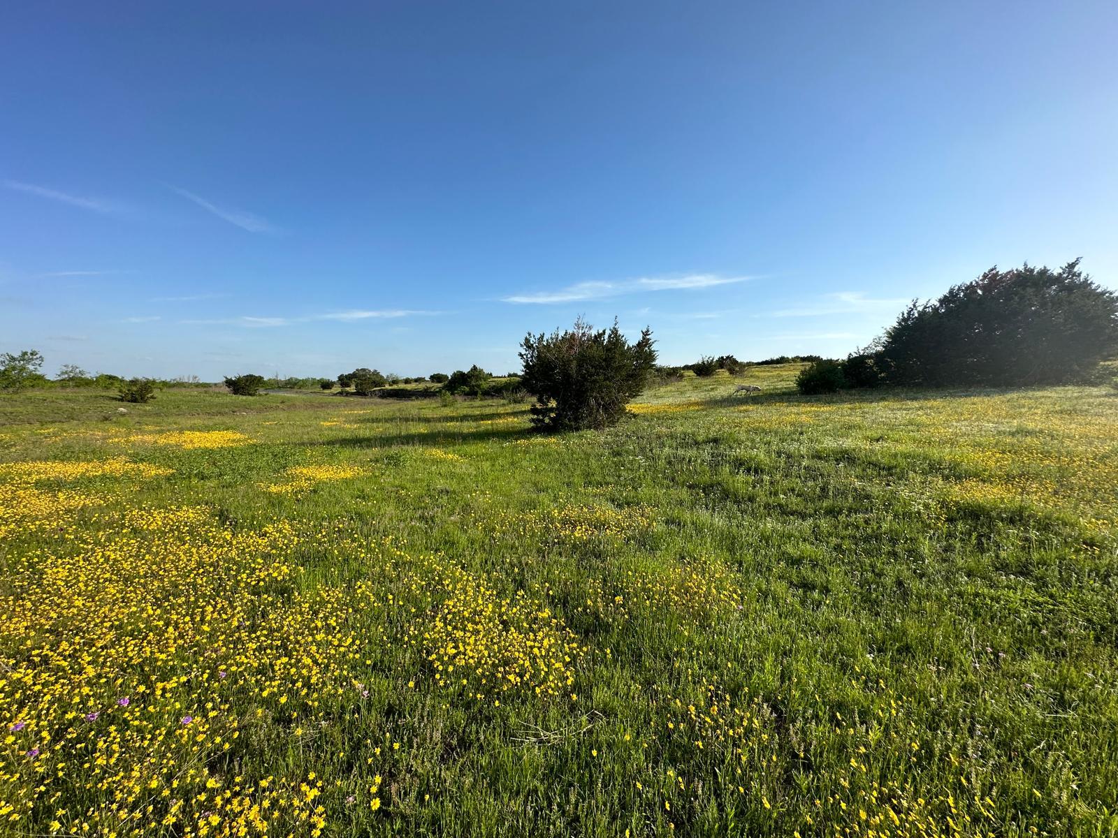 7800 County Road 210, Bertram, TX 78605