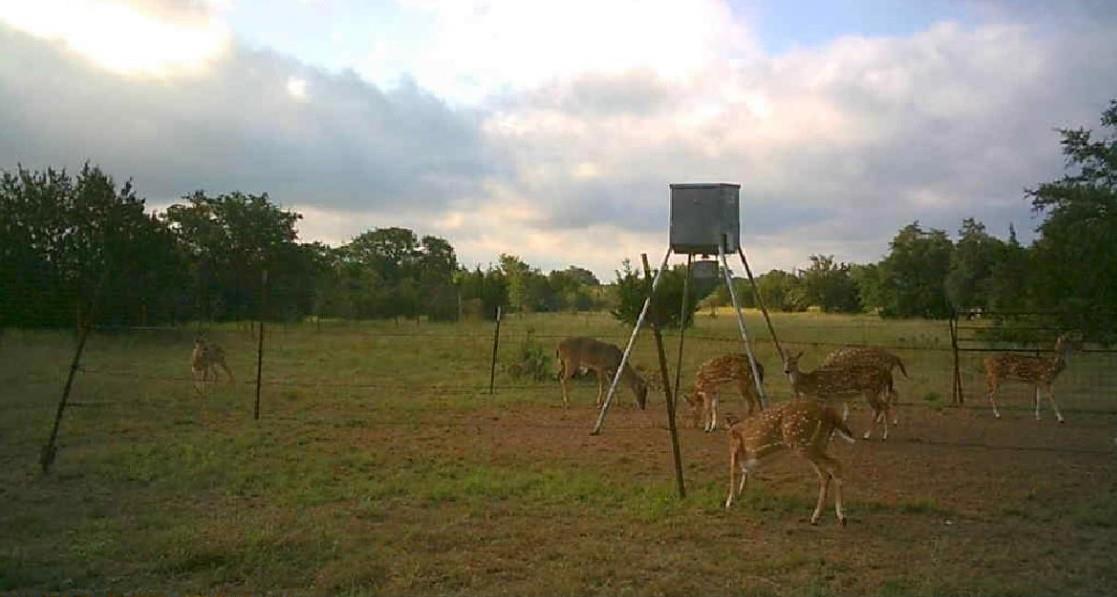 7800 County Road 210, Bertram, TX 78605