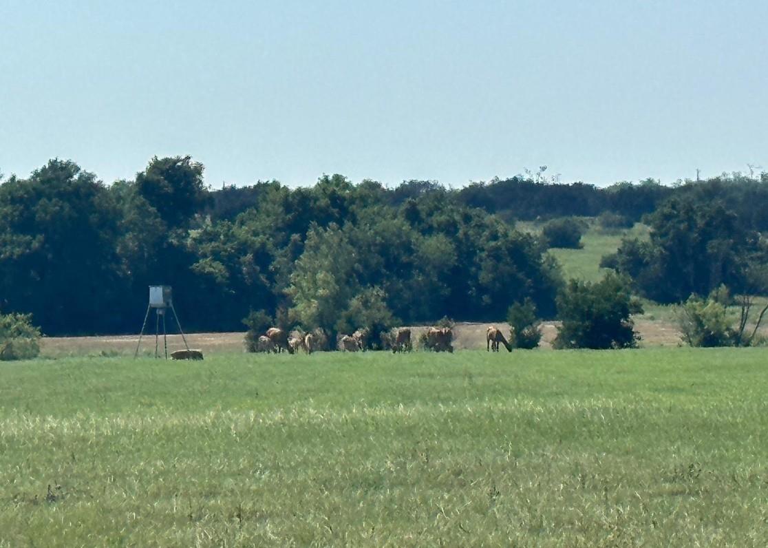 7800 County Road 210, Bertram, TX 78605