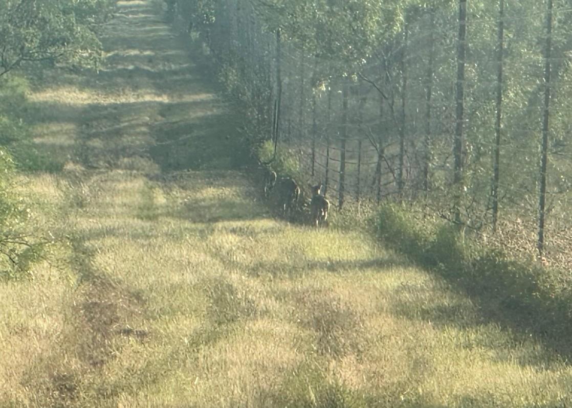 7800 County Road 210, Bertram, TX 78605