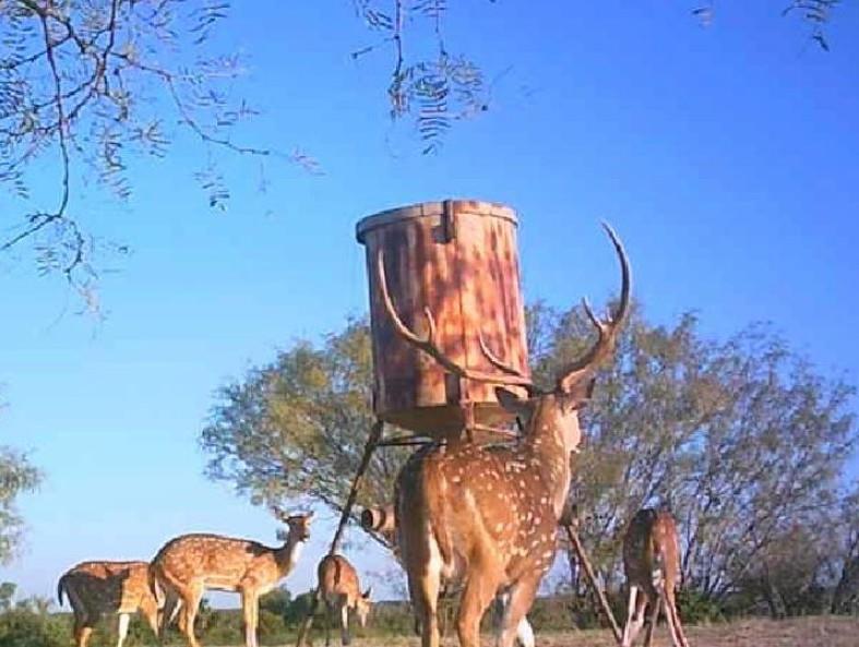 7800 County Road 210, Bertram, TX 78605