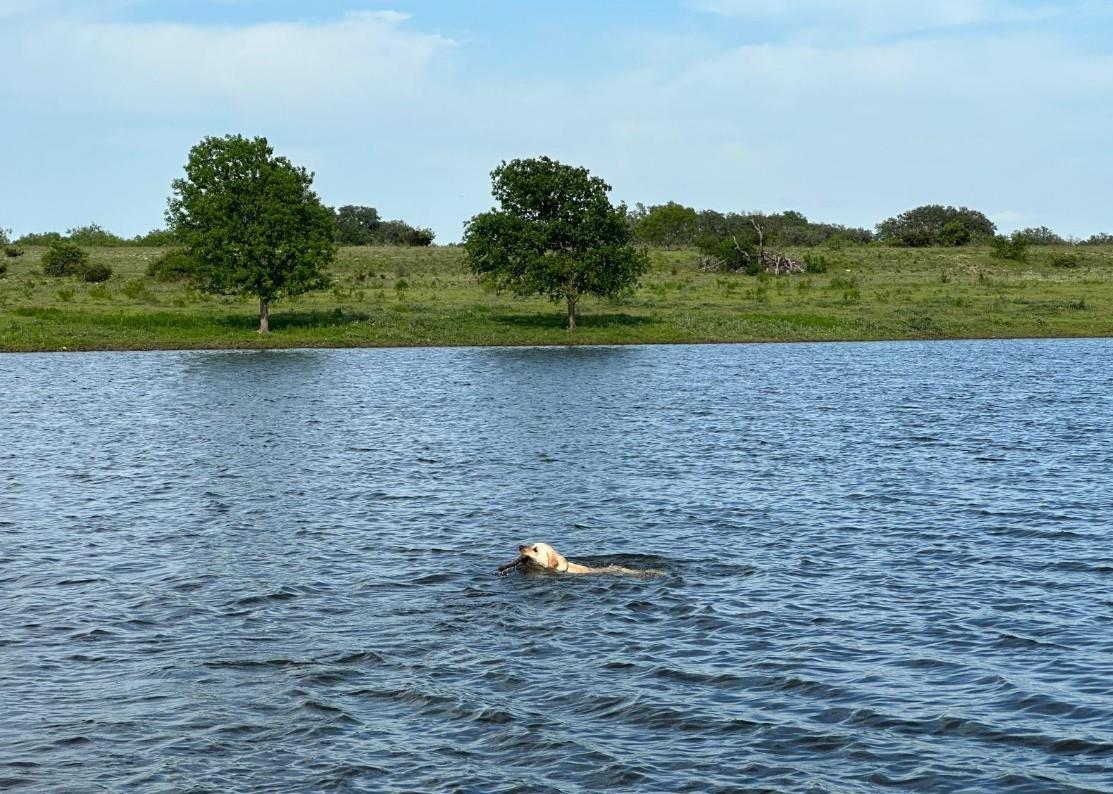 7800 County Road 210, Bertram, TX 78605