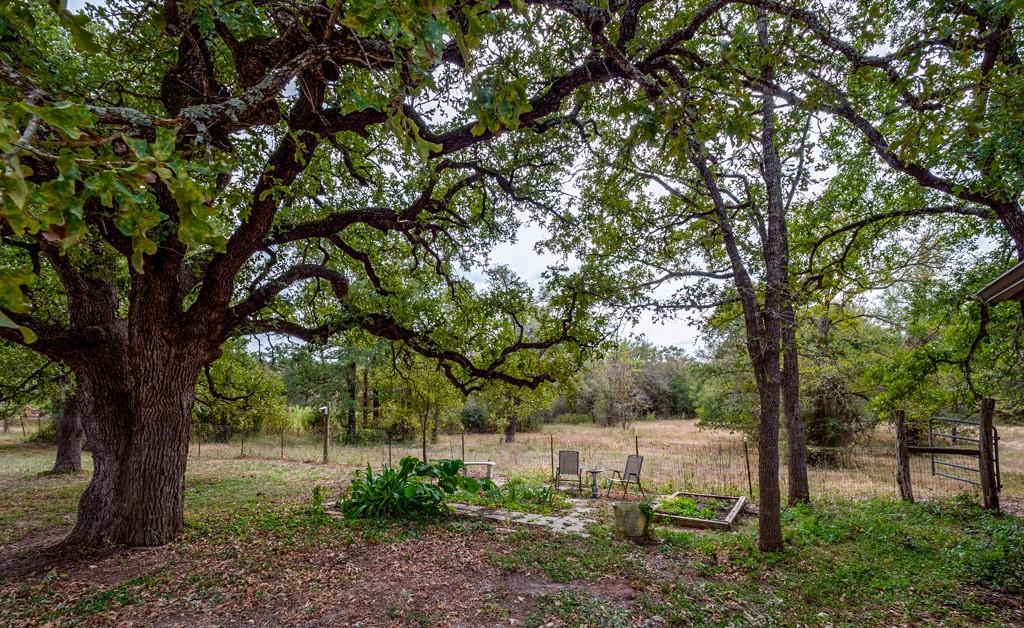 298 Jenkins Rd, Cedar Creek, TX 78612