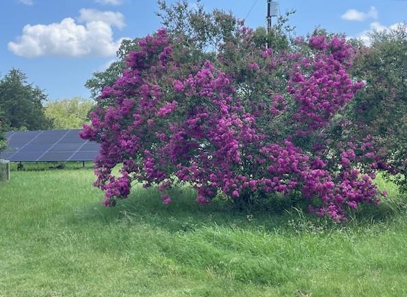 298 Jenkins Rd, Cedar Creek, TX 78612