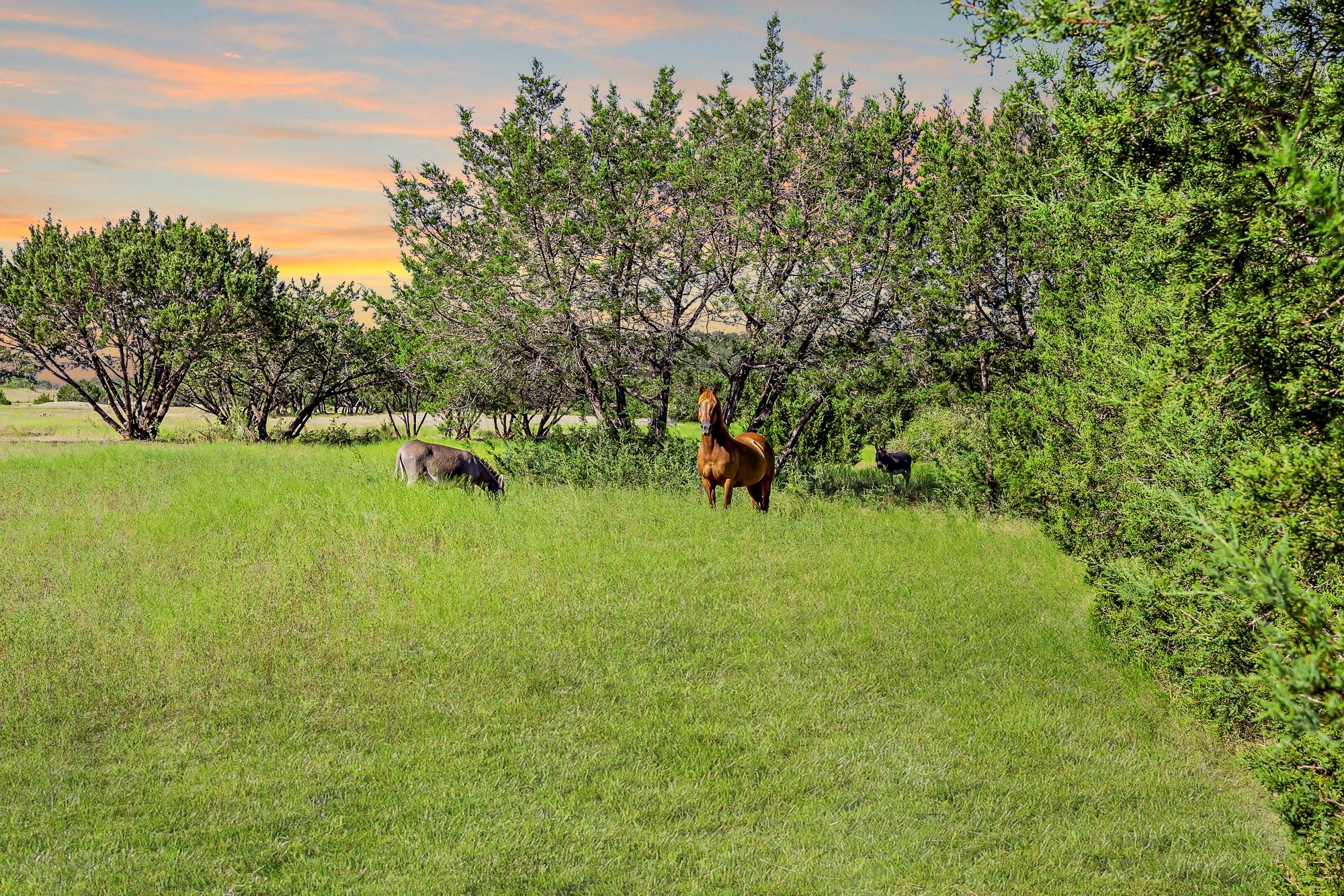 3656 Fm 2657, Kempner, TX 76539