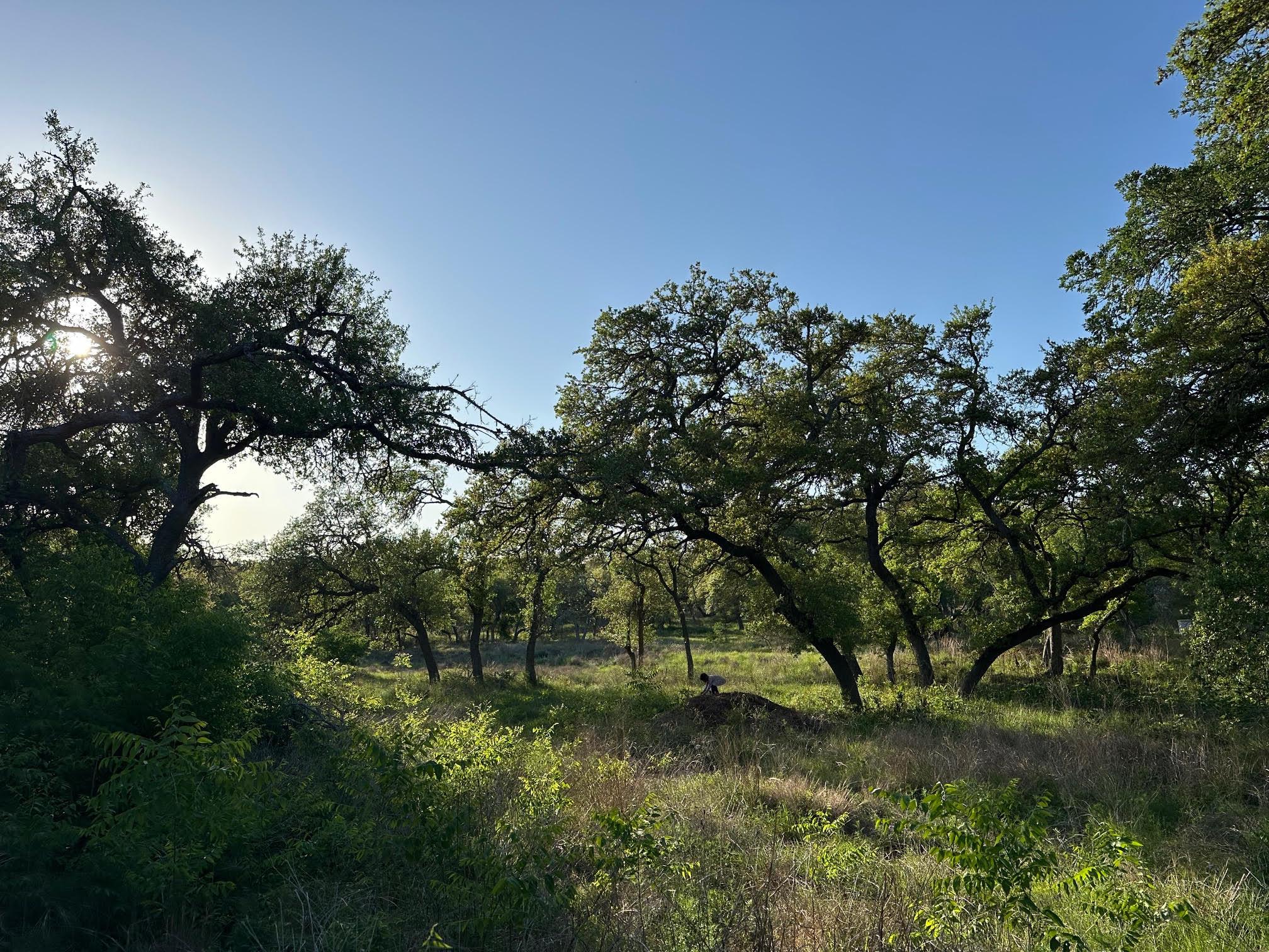 TBD S Rainbow Ranch Rd, Wimberley, TX 78676