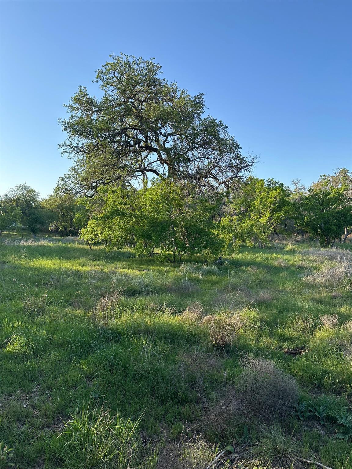 TBD S Rainbow Ranch Rd, Wimberley, TX 78676
