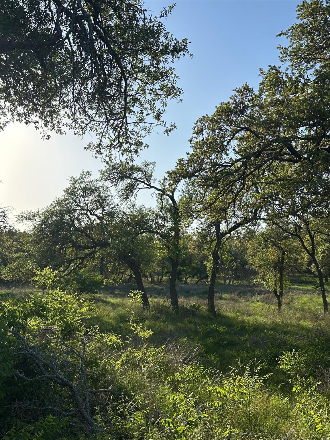 TBD S Rainbow Ranch Rd, Wimberley, TX 78676