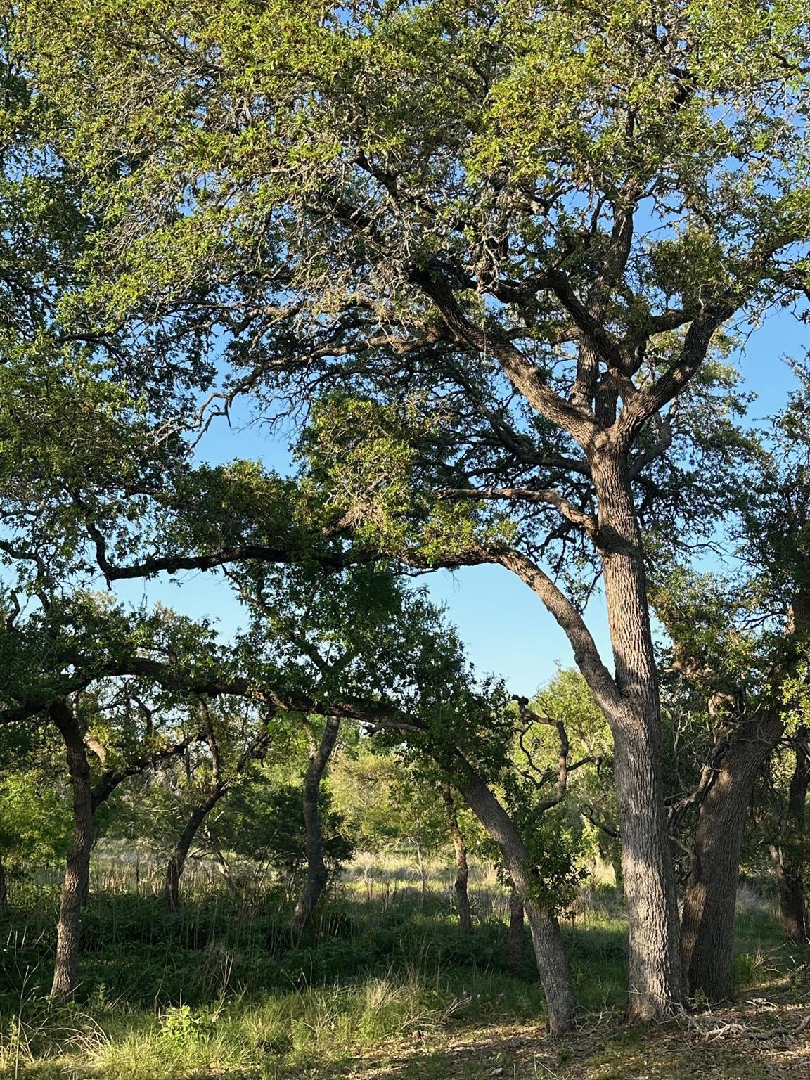 TBD S Rainbow Ranch Rd, Wimberley, TX 78676