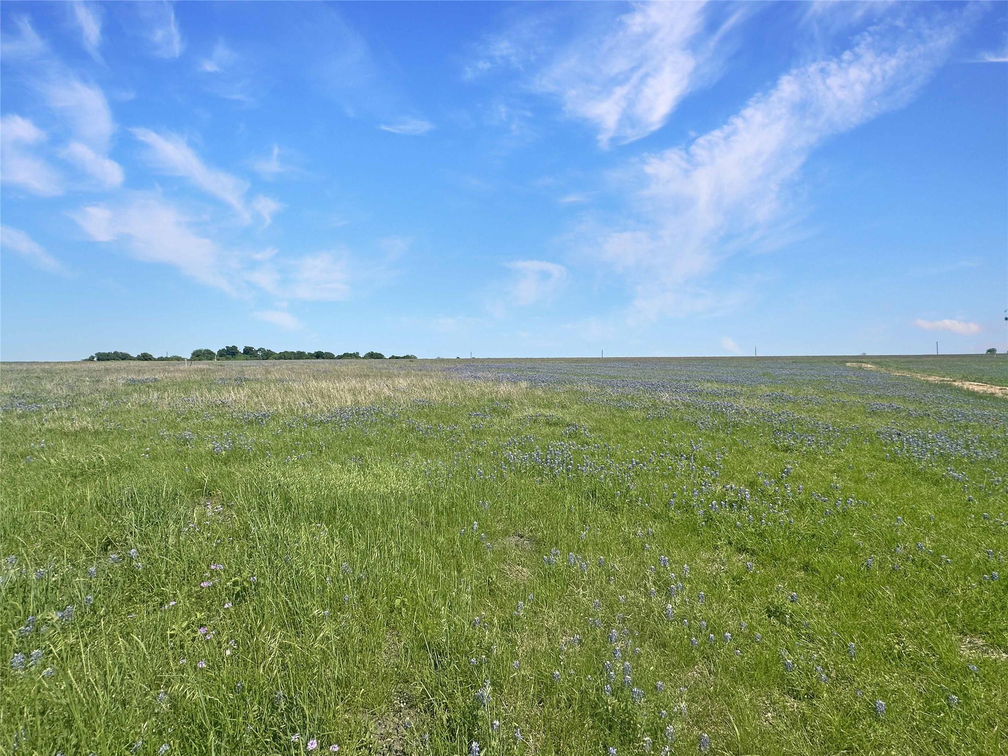 2523 Roitsch Rd, Schulenburg, TX 78956