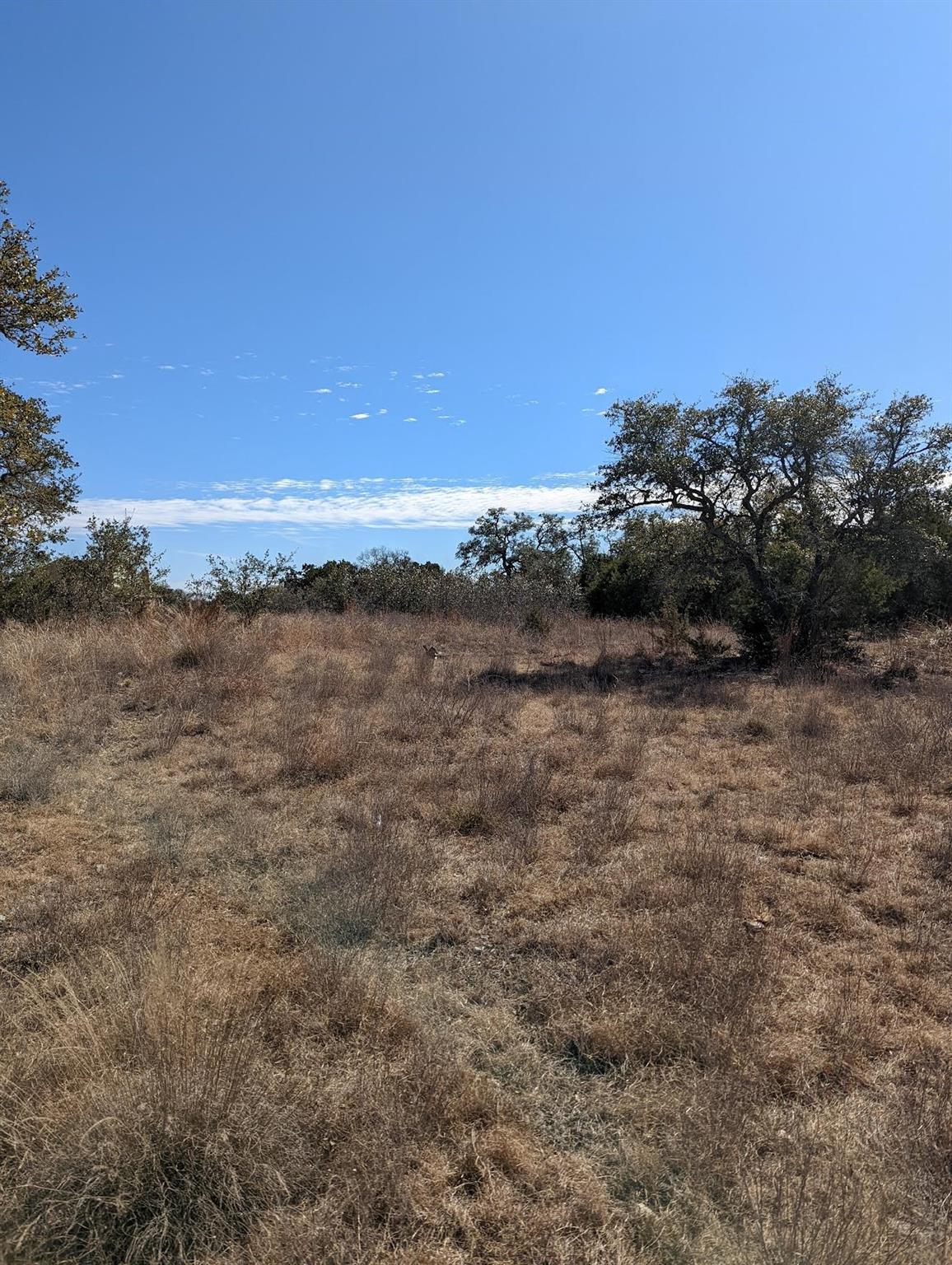 280 Onion Creek Ln, Driftwood, TX 78619