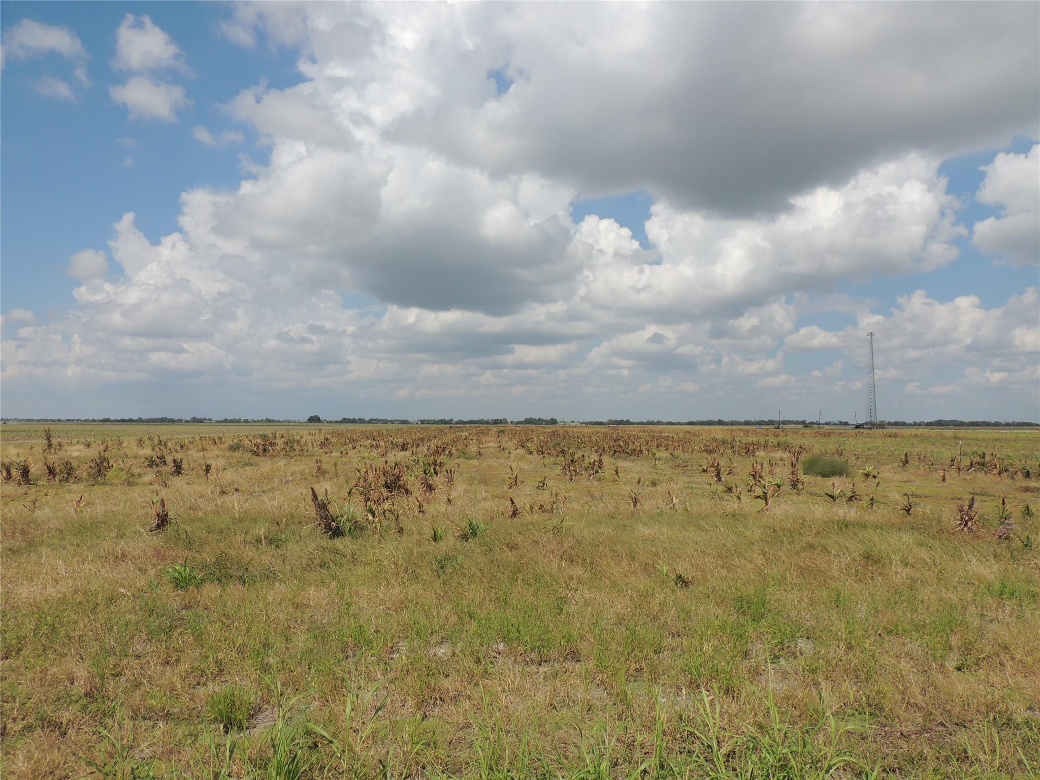 3402 County Road 405, Taylor, TX 76574