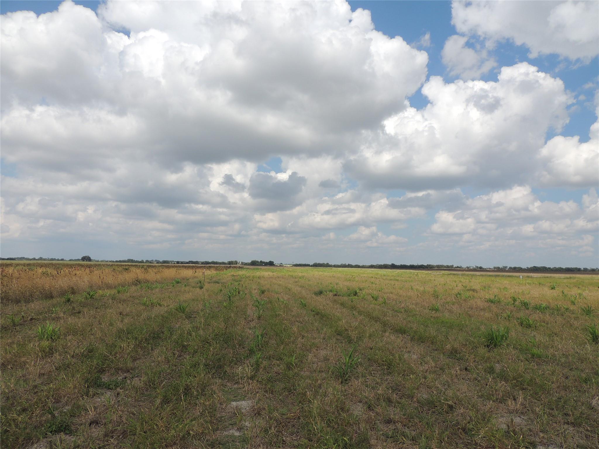 3402 County Road 405, Taylor, TX 76574