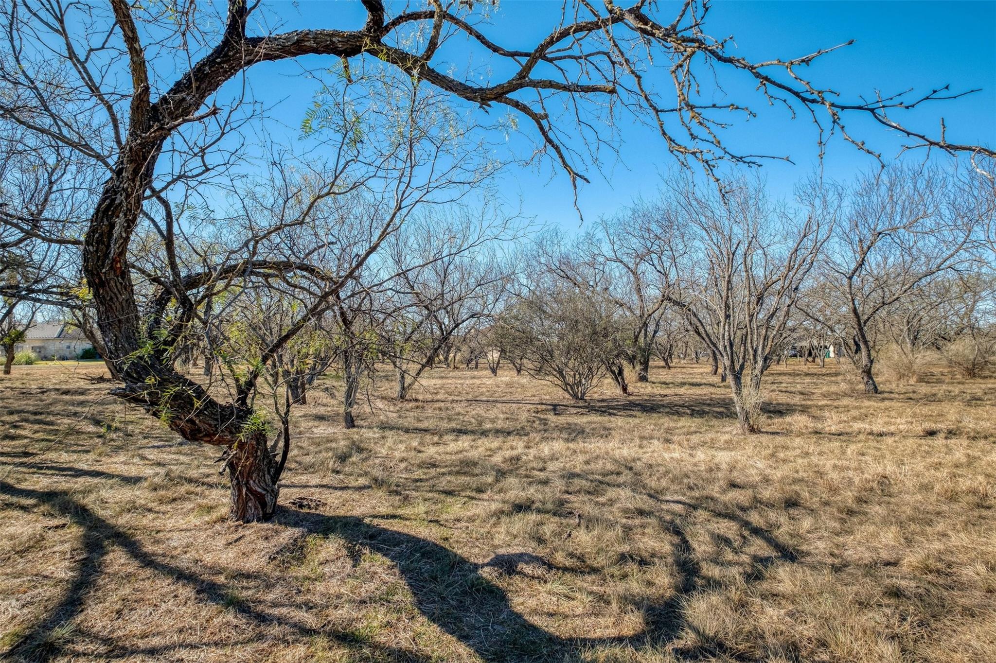 110 Colt, Horseshoe Bay, TX 78657