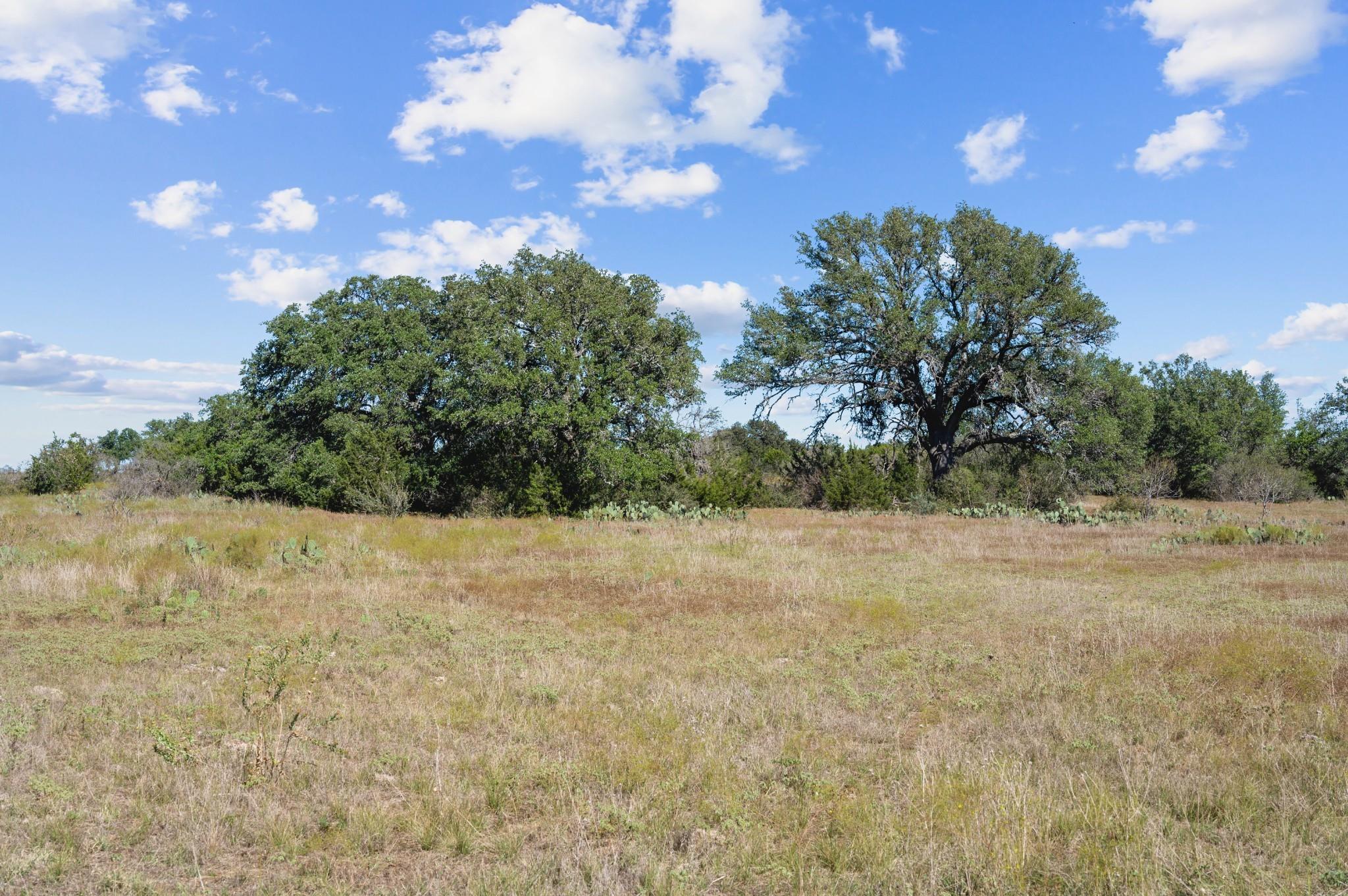 TBD Old Stieler Rd, Round Mountain, TX 78663