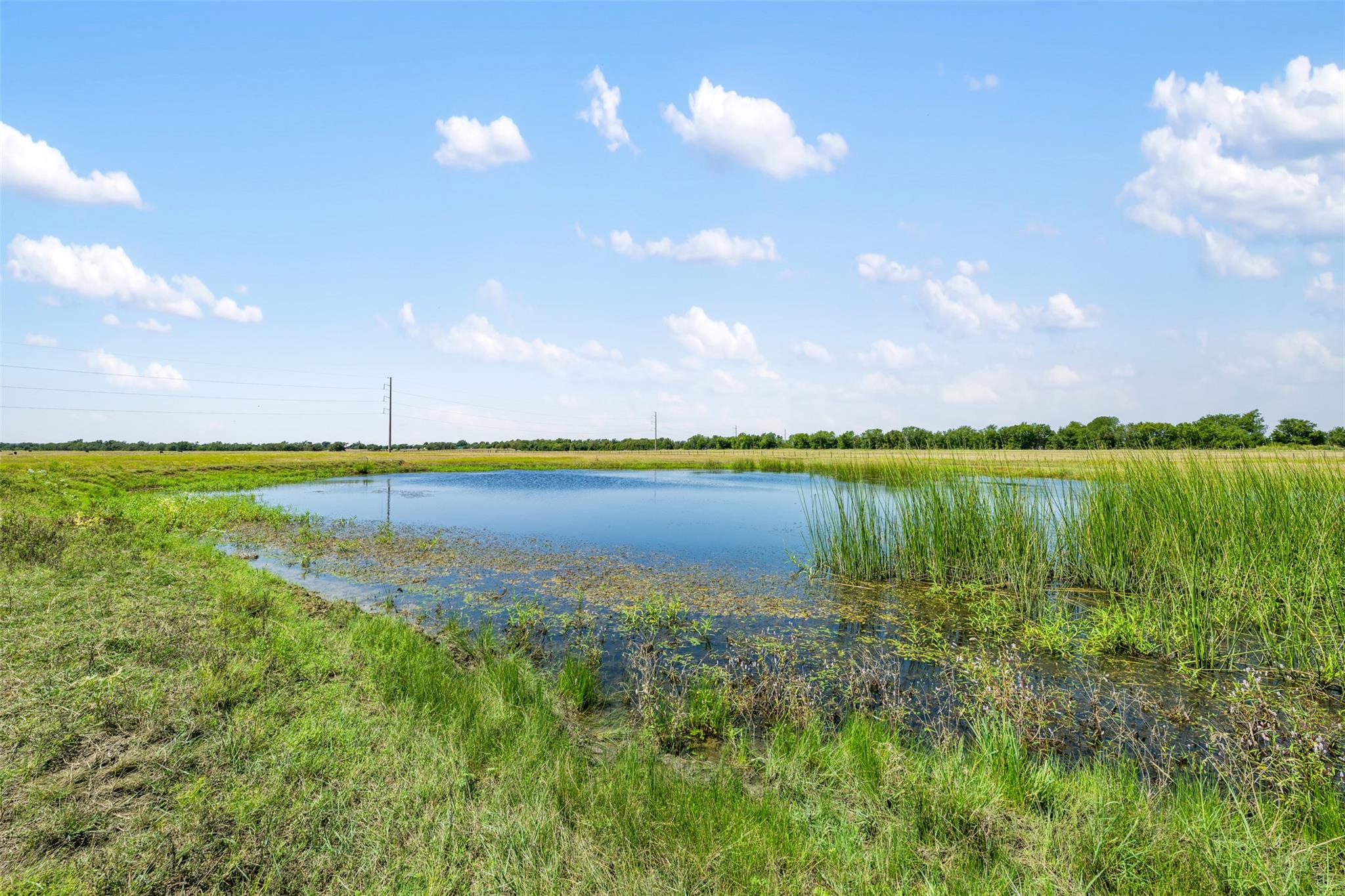 000 Littig Rd Littig Rd, Elgin, TX 78621