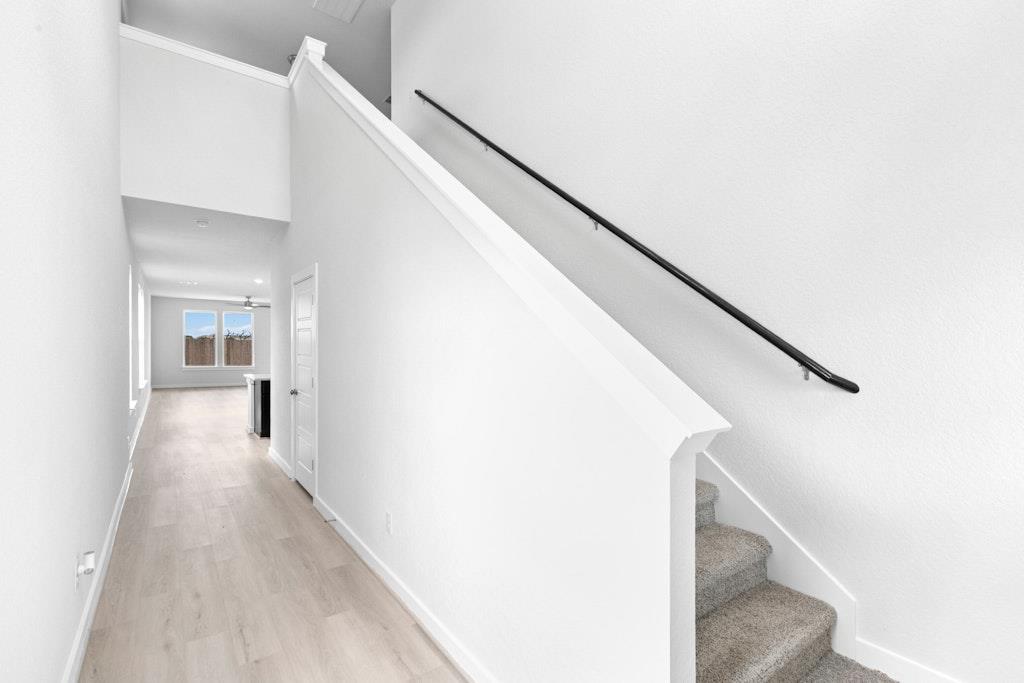 1543 Estelea Grv, New Braunfels, TX 78130