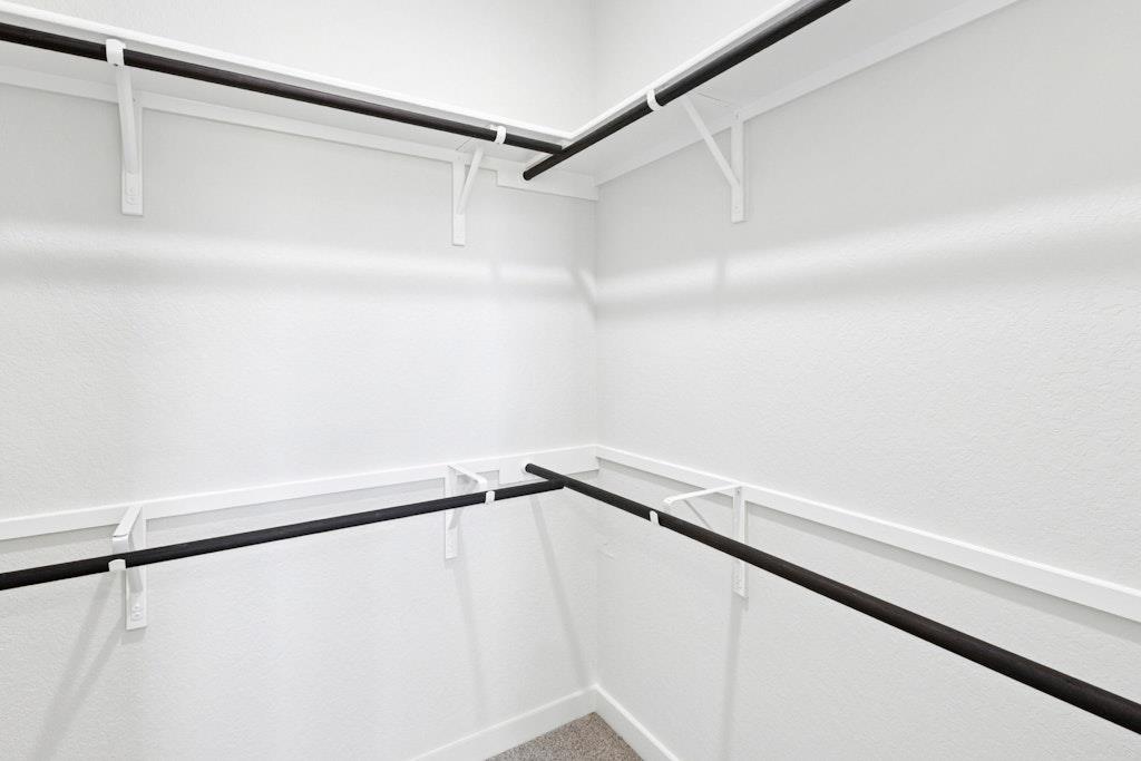 1543 Estelea Grv, New Braunfels, TX 78130