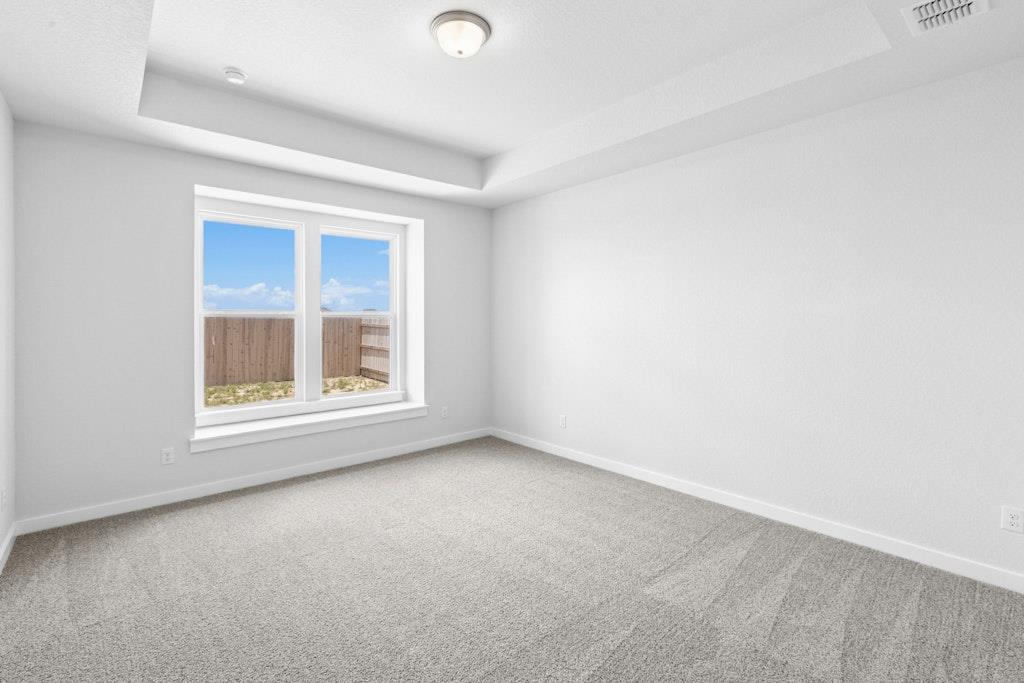 1543 Estelea Grv, New Braunfels, TX 78130