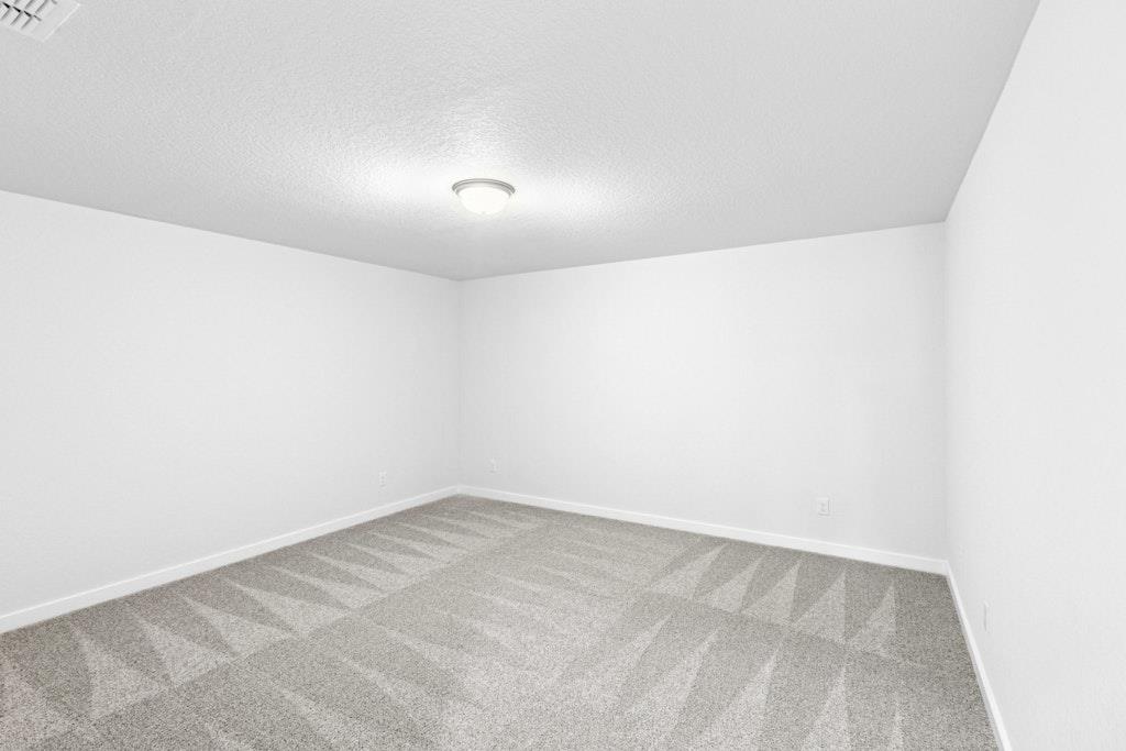 1543 Estelea Grv, New Braunfels, TX 78130