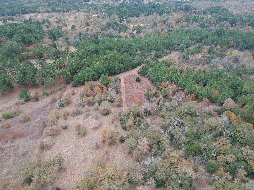 319 Matthew Cv, Bastrop, TX 78602