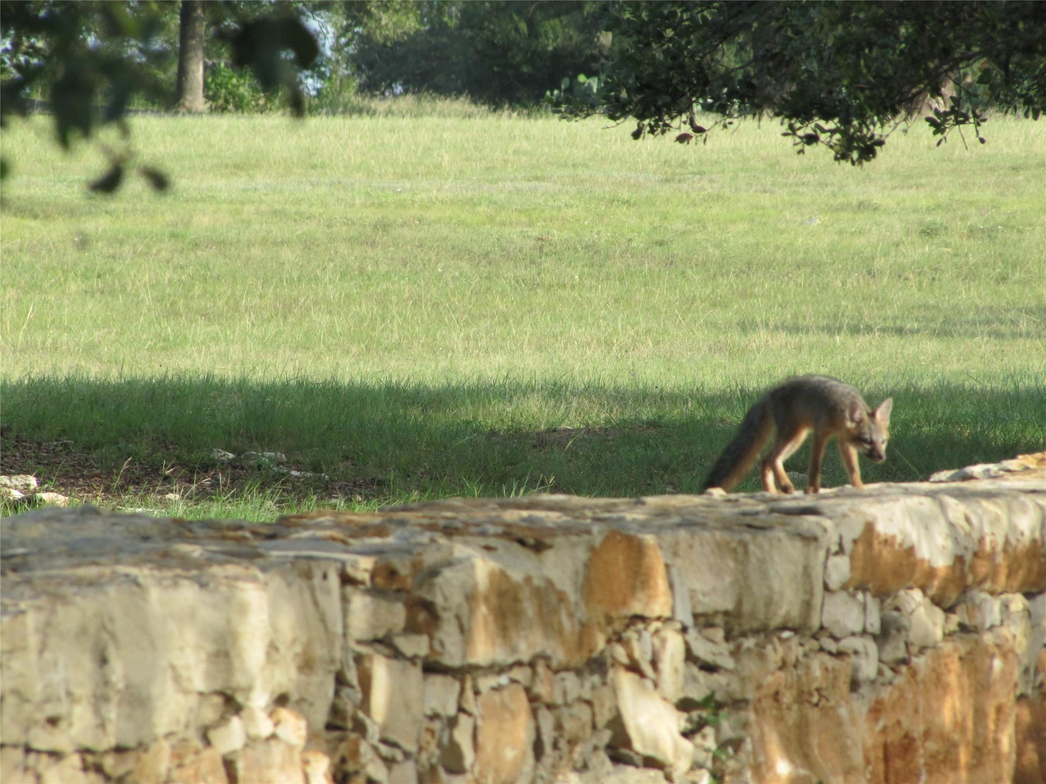 525 Packer Ln, Wimberley, TX 78676