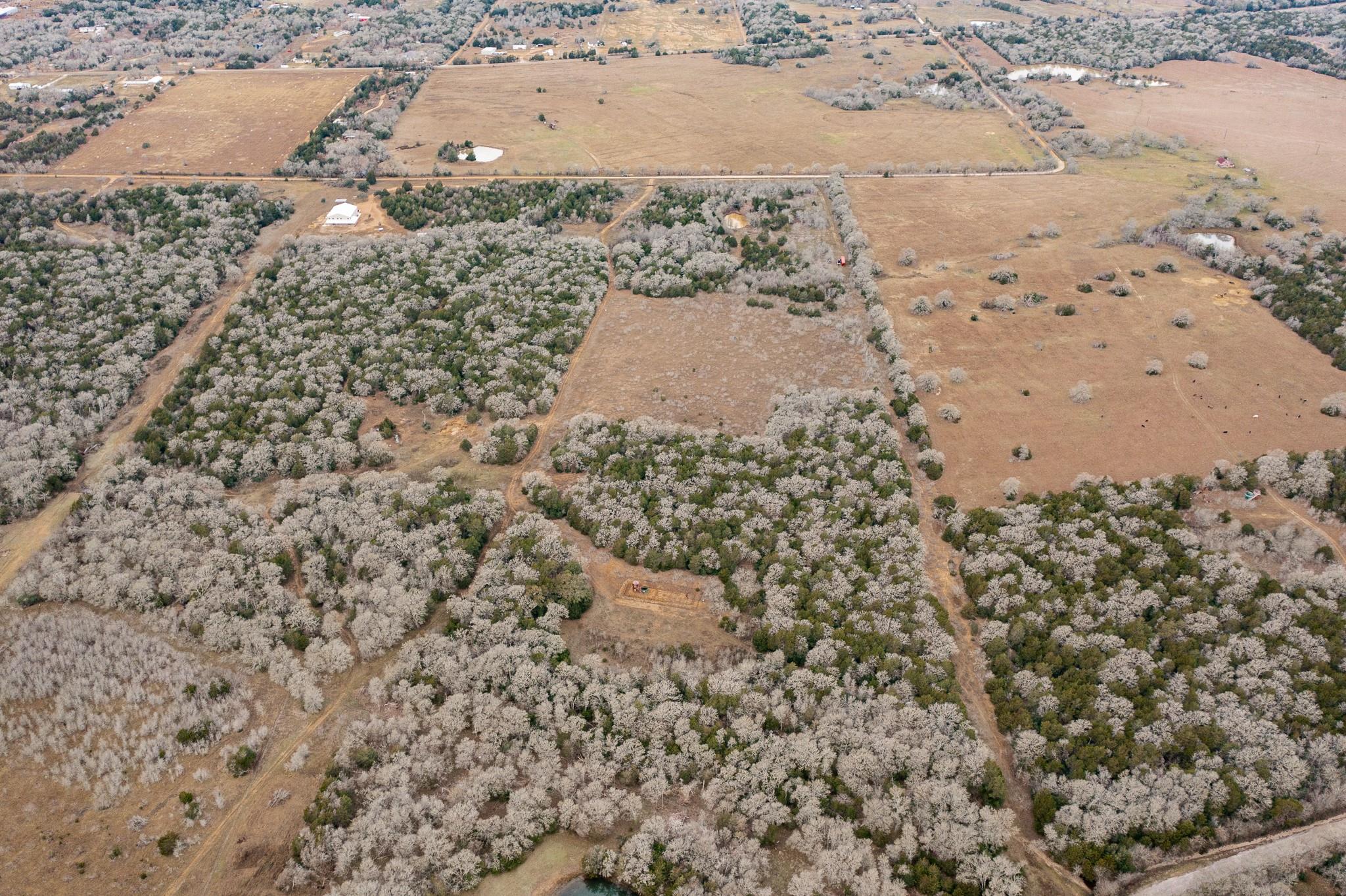 000 TBD 17+/- Ac Grassyville Rd, Paige, TX 78659