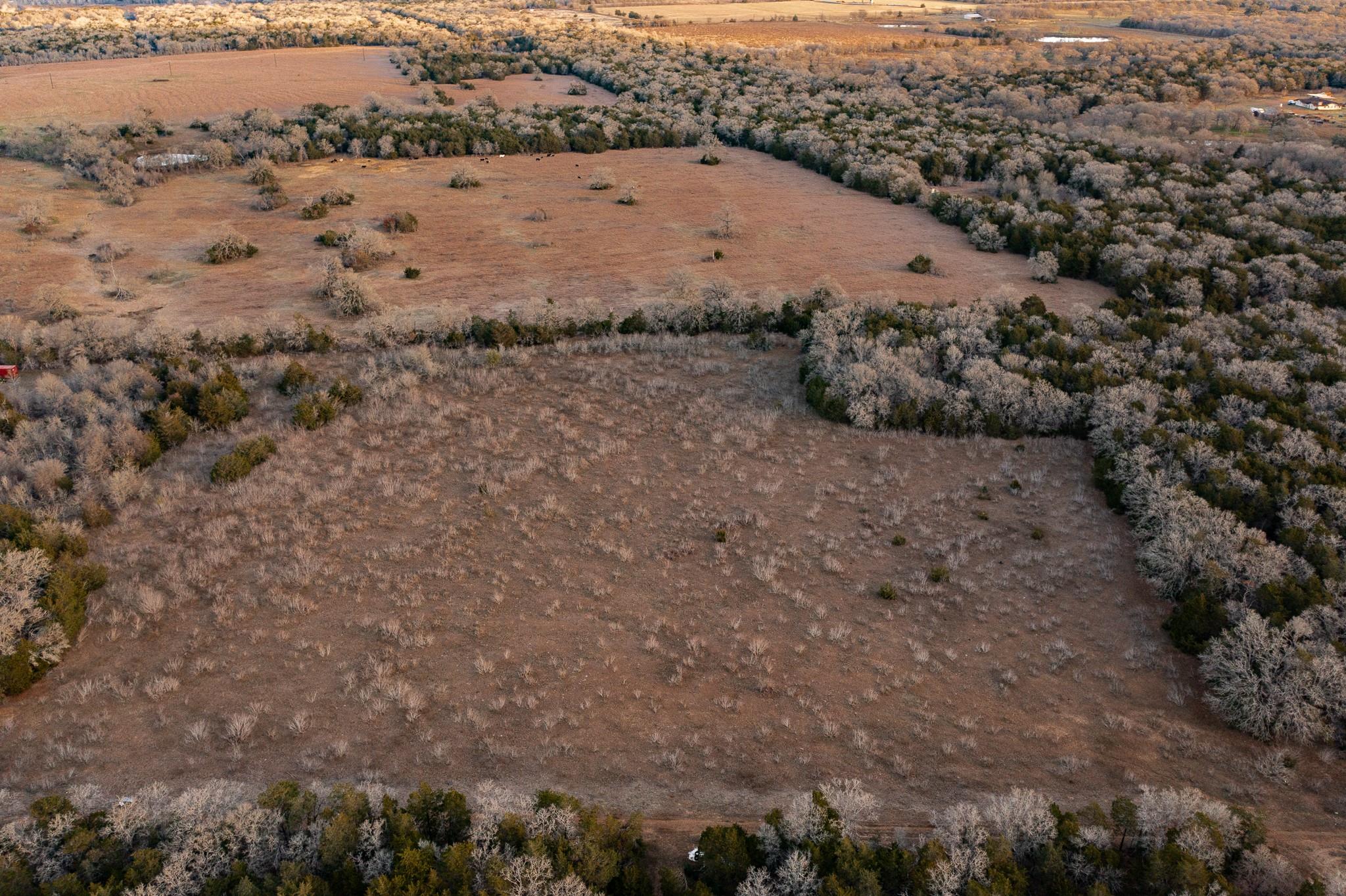 000 TBD 17+/- Ac Grassyville Rd, Paige, TX 78659