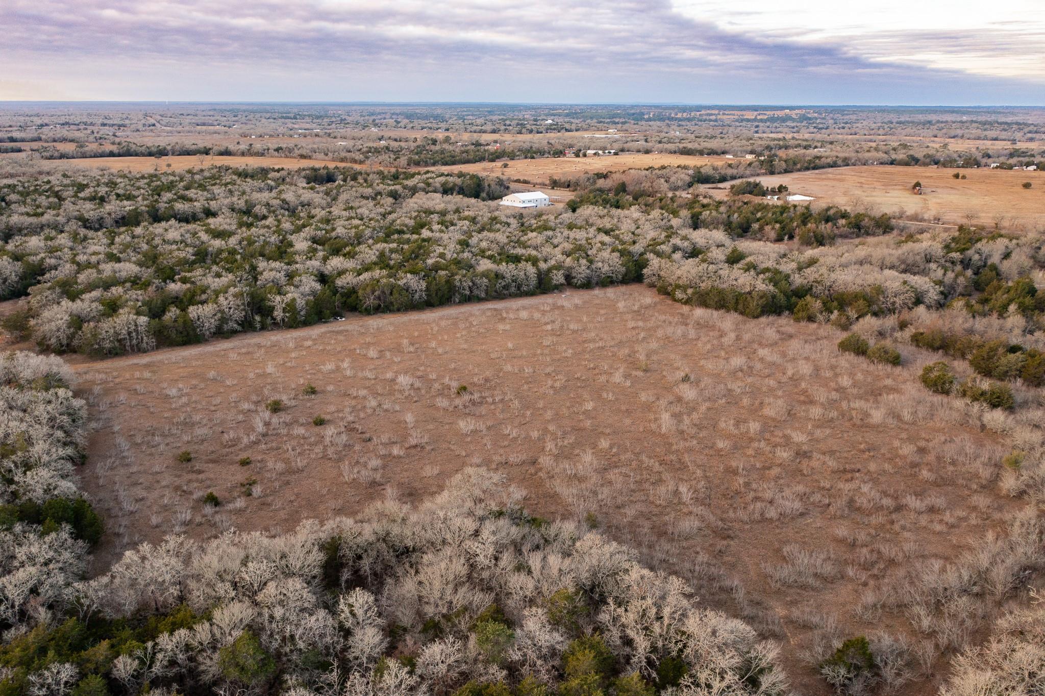 000 TBD 17+/- Ac Grassyville Rd, Paige, TX 78659