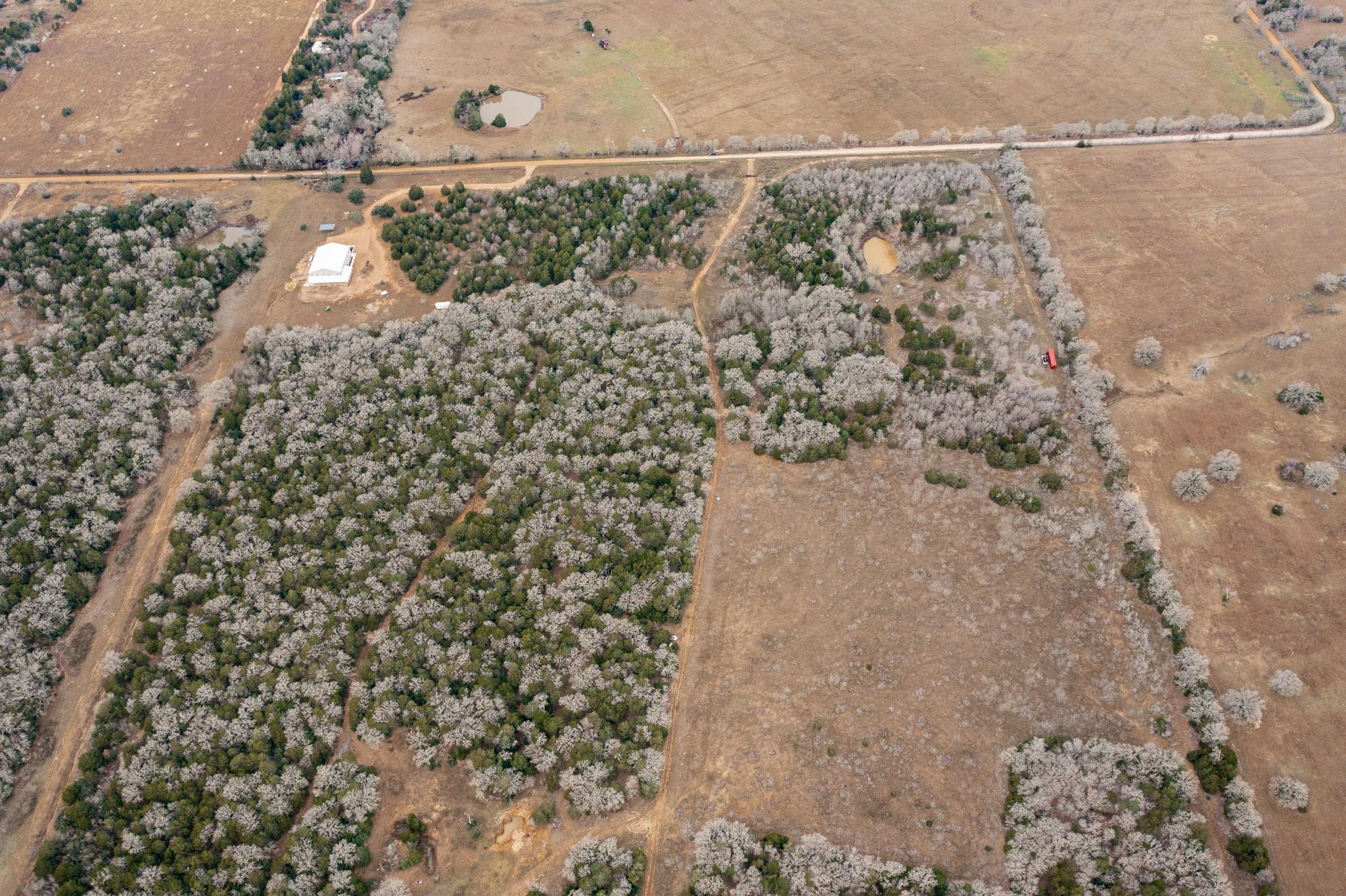 000 TBD 17+/- Ac Grassyville Rd, Paige, TX 78659
