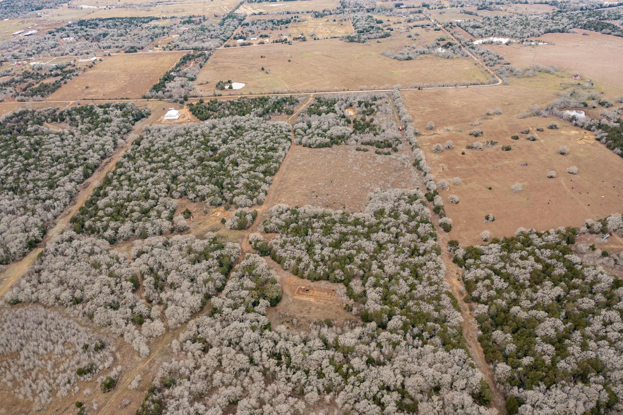 000 TBD 17+/- Ac Grassyville Rd, Paige, TX 78659