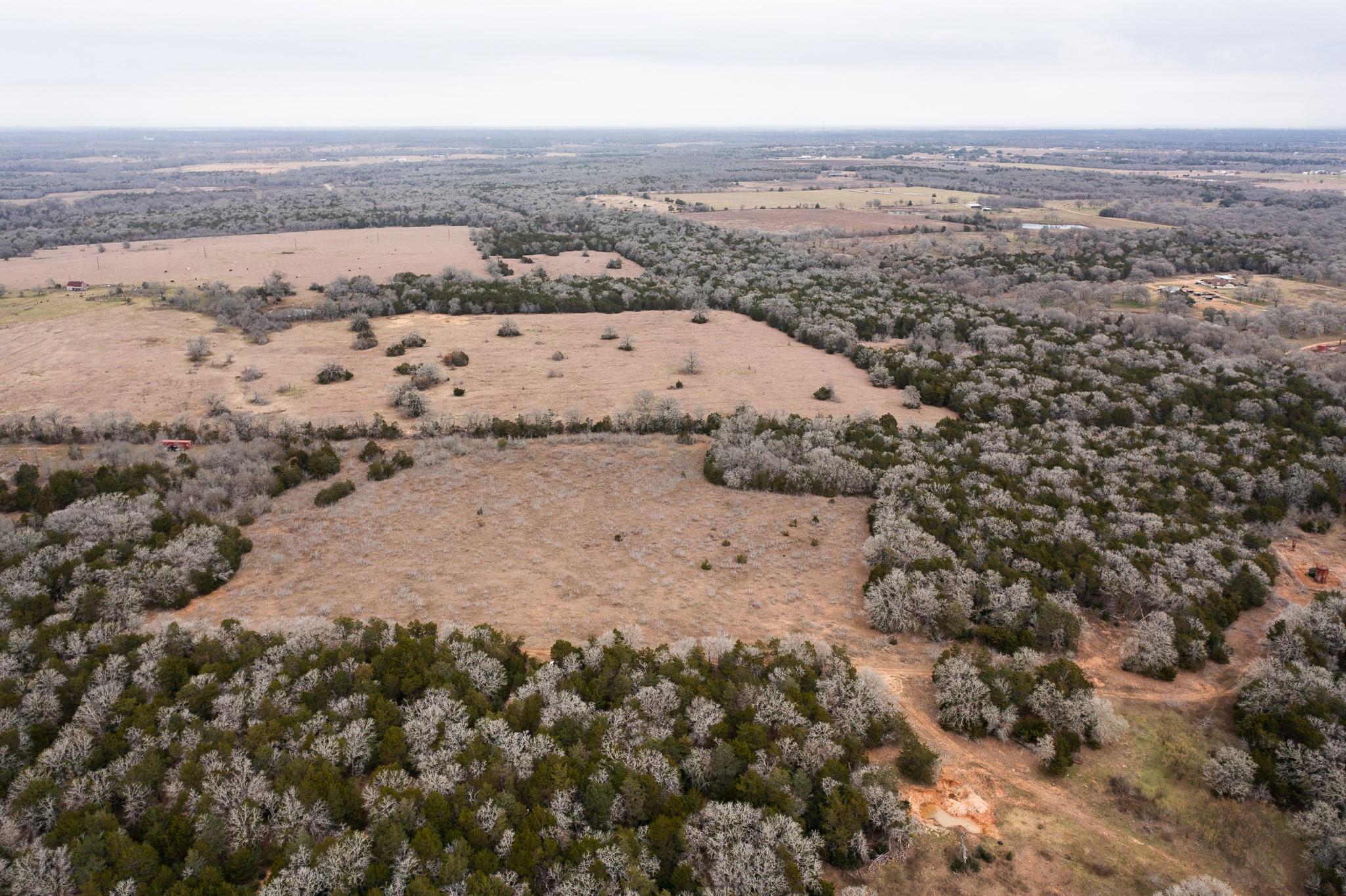 000 TBD 17+/- Ac Grassyville Rd, Paige, TX 78659