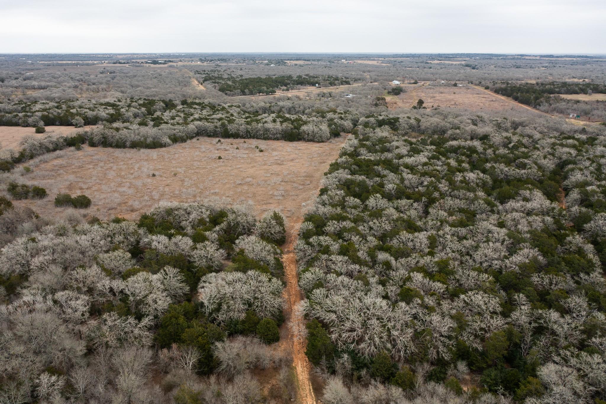 000 TBD 17+/- Ac Grassyville Rd, Paige, TX 78659