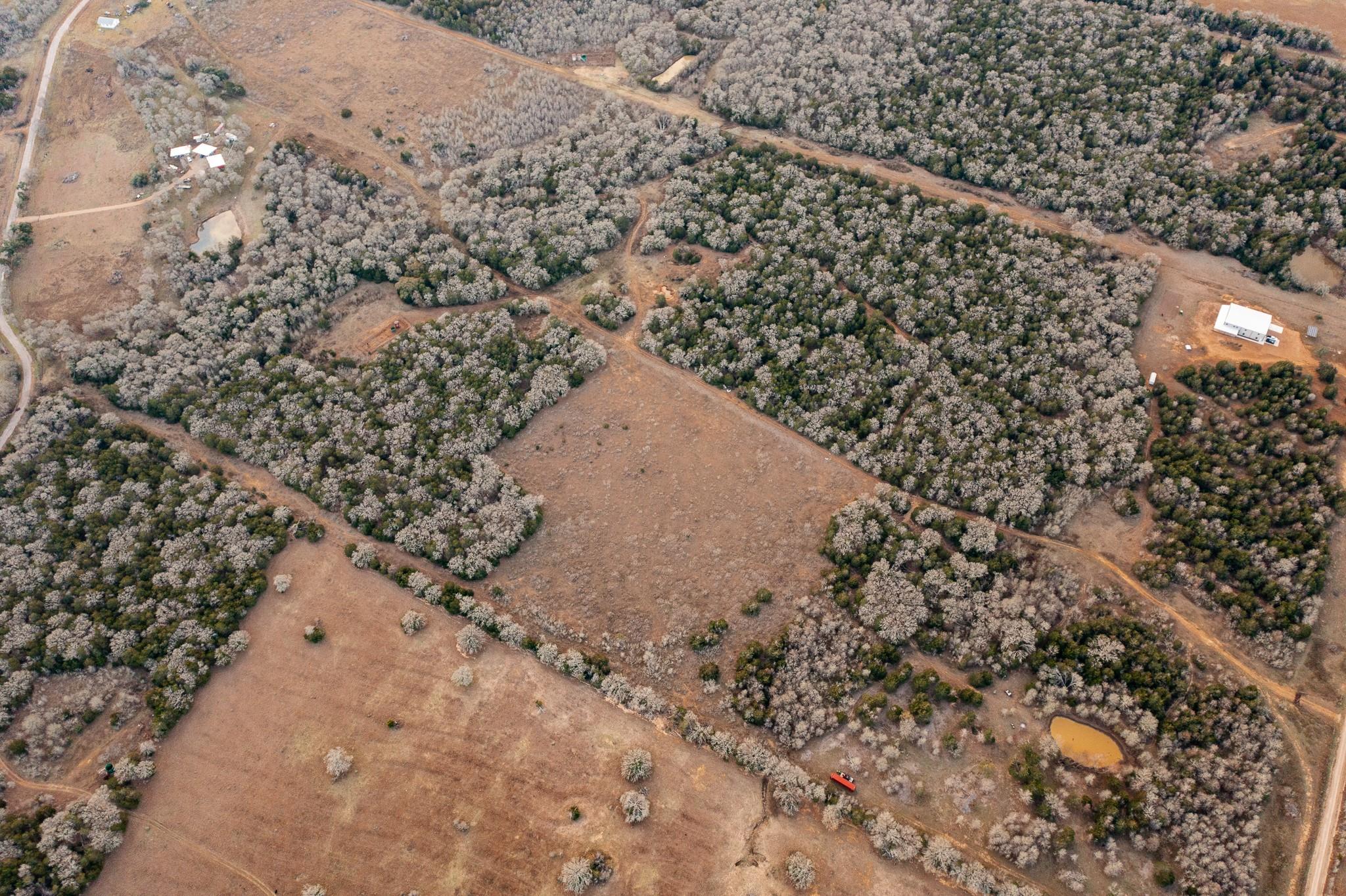 000 TBD 17+/- Ac Grassyville Rd, Paige, TX 78659