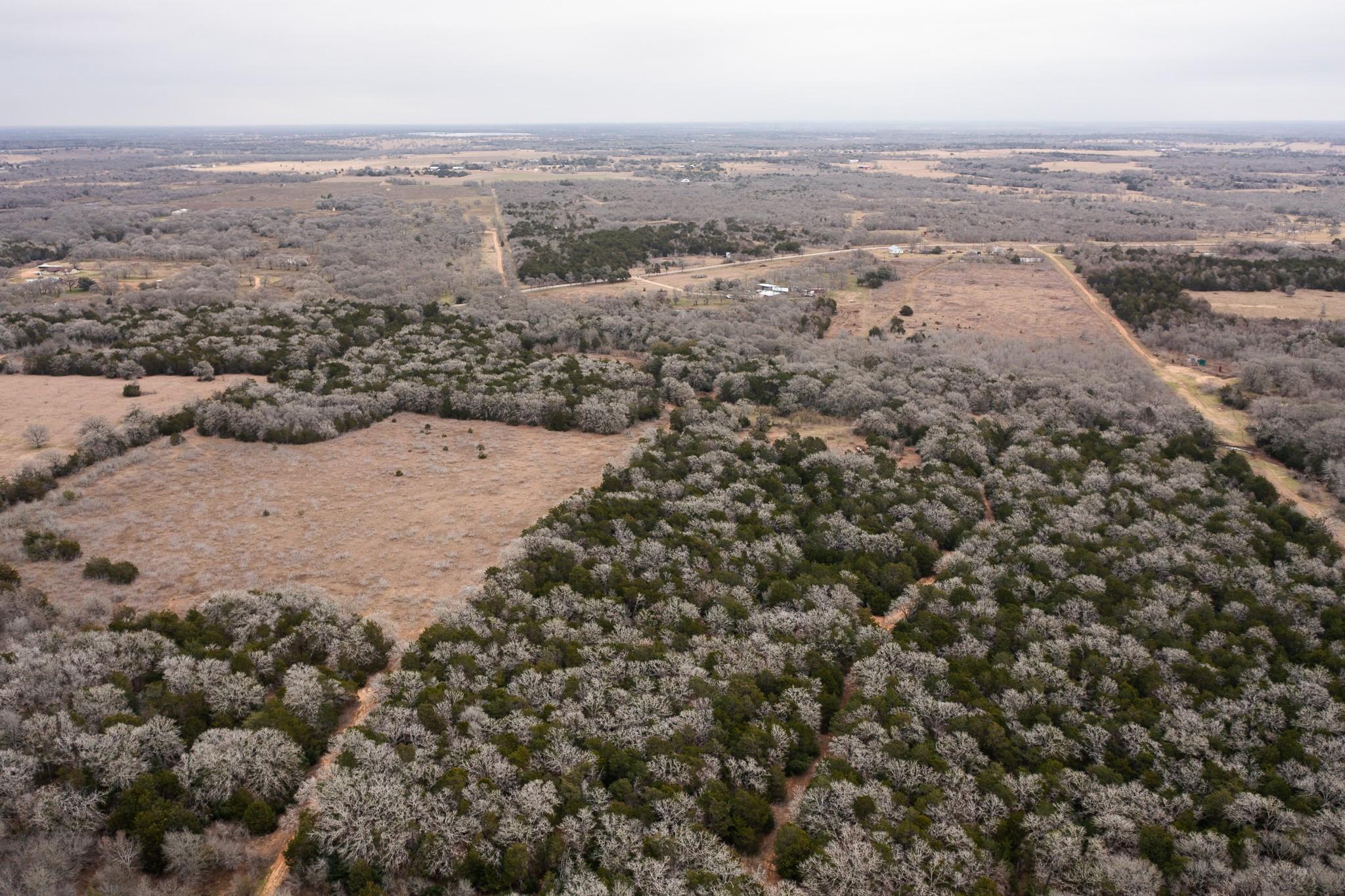 000 TBD 17+/- Ac Grassyville Rd, Paige, TX 78659