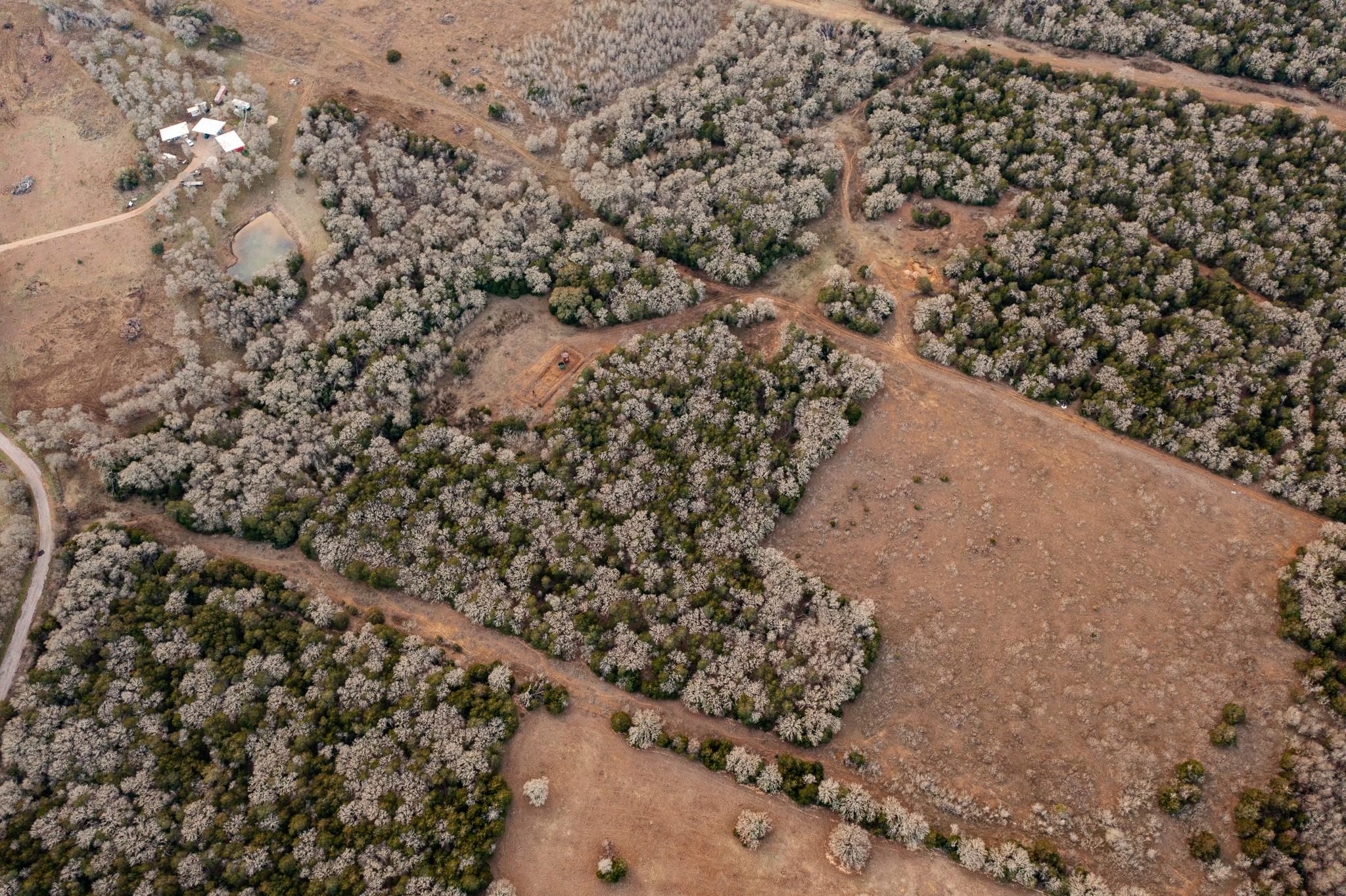 000 TBD 17+/- Ac Grassyville Rd, Paige, TX 78659