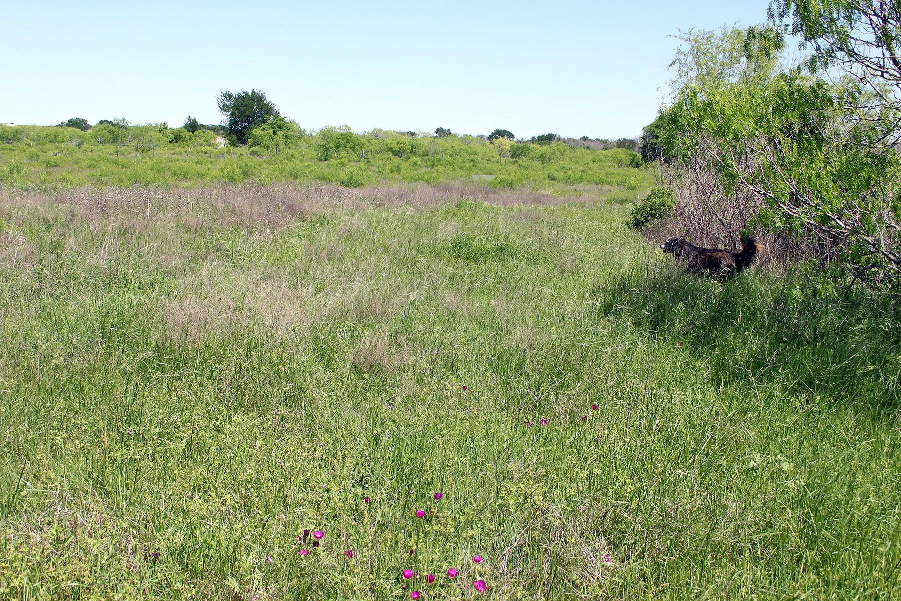 1023 Sierra Dr, Lockhart, TX 78644