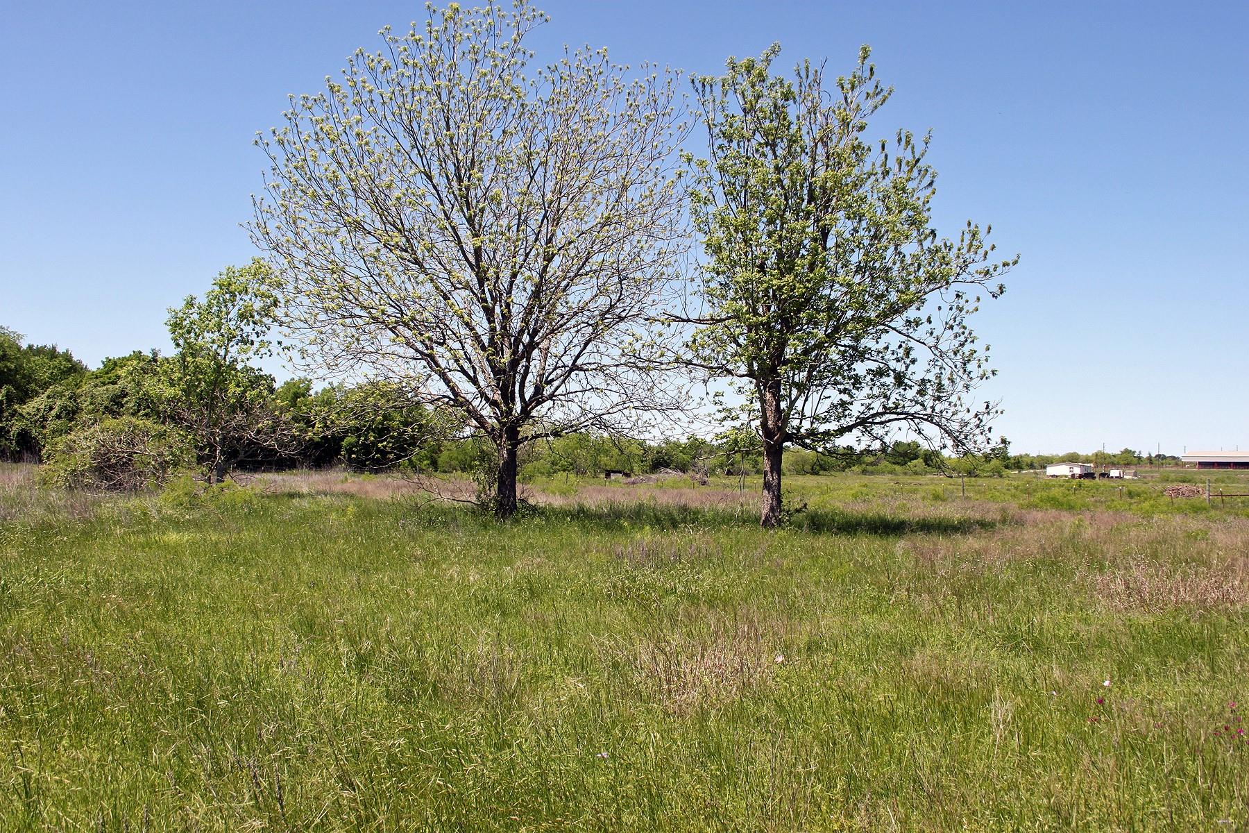 1023 Sierra Dr, Lockhart, TX 78644