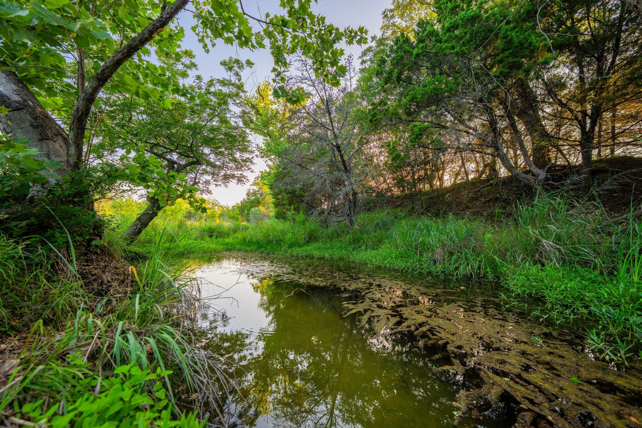 00 Ligon-Smith Lane, Johnson City, TX 78636