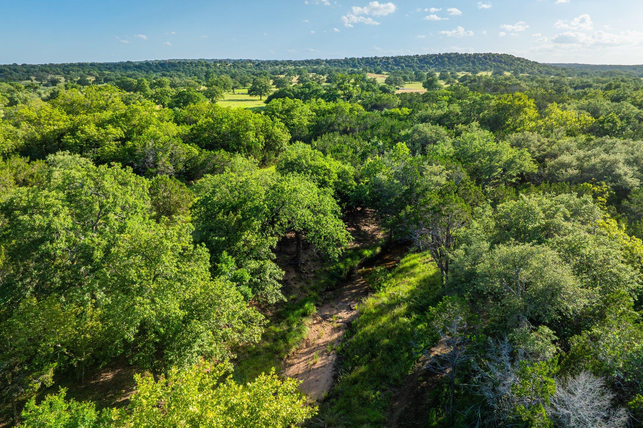 00 Ligon-Smith Lane, Johnson City, TX 78636