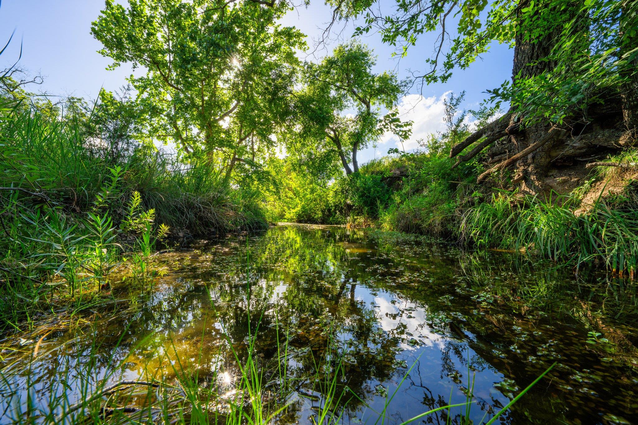 00 Ligon-Smith Lane, Johnson City, TX 78636