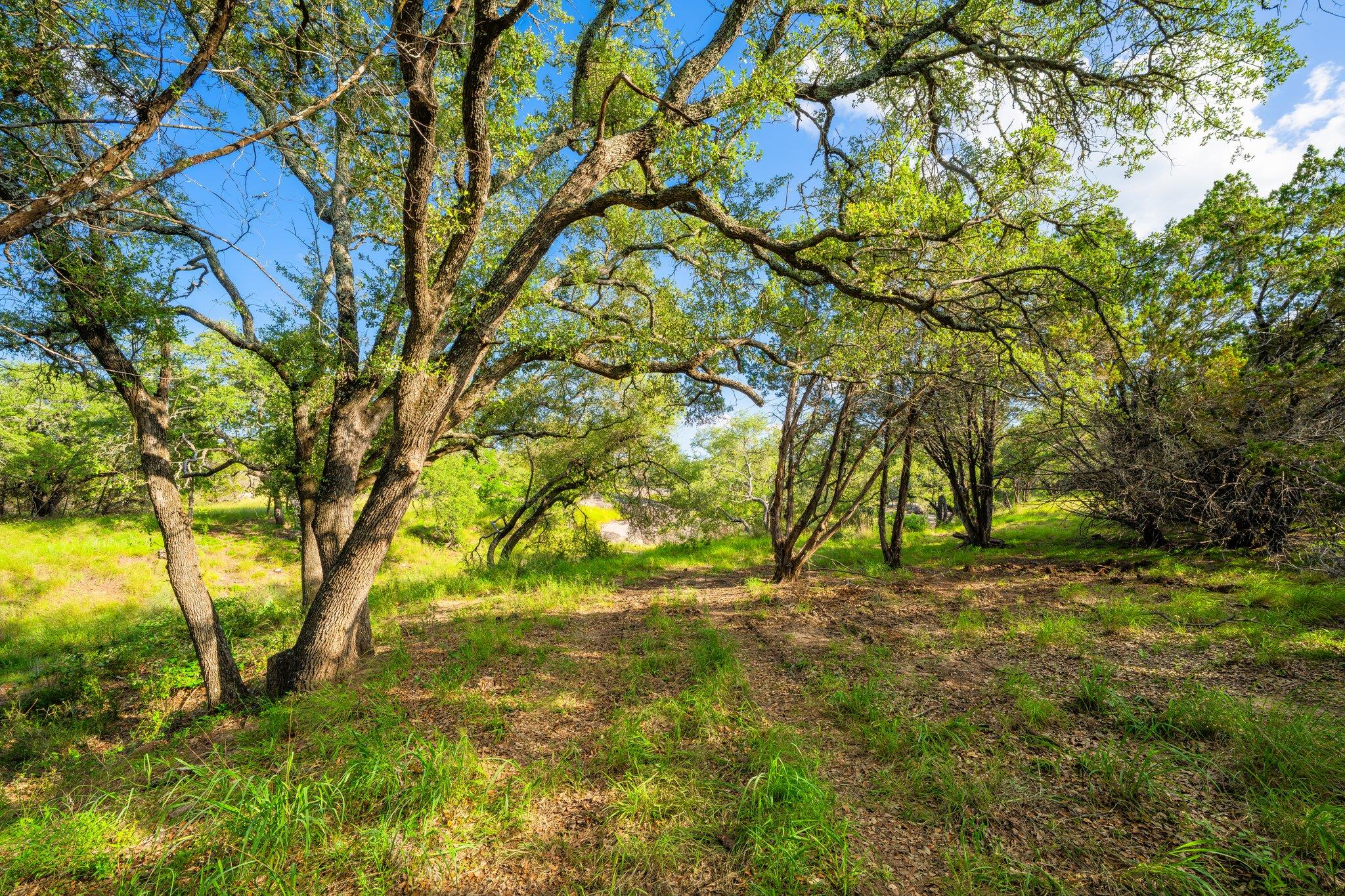 00 Ligon-Smith Lane, Johnson City, TX 78636