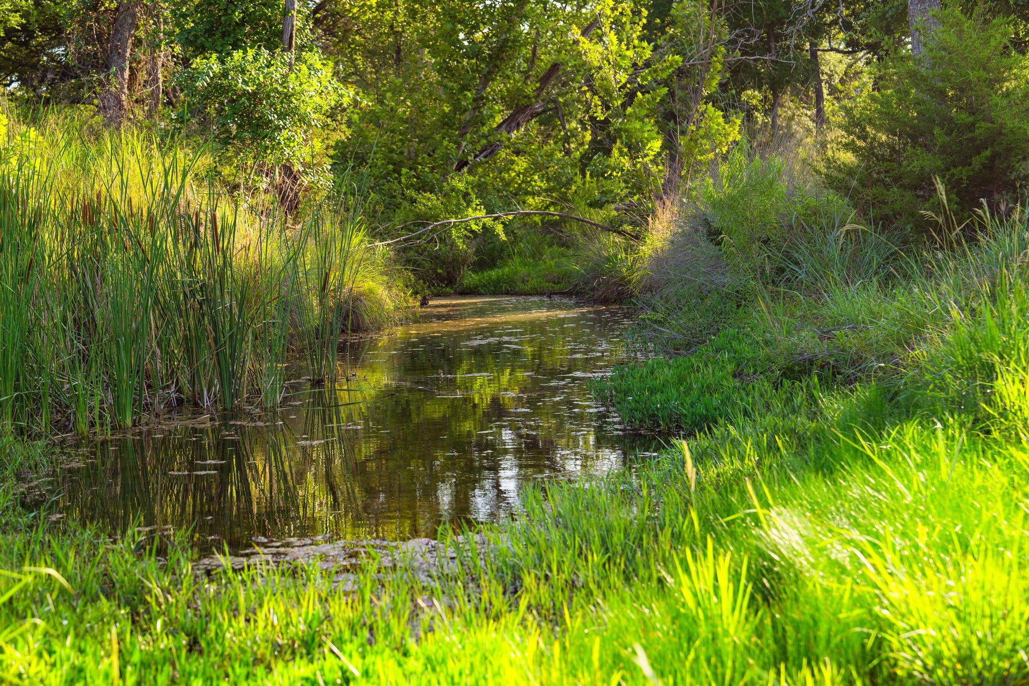 00 Ligon-Smith Lane, Johnson City, TX 78636