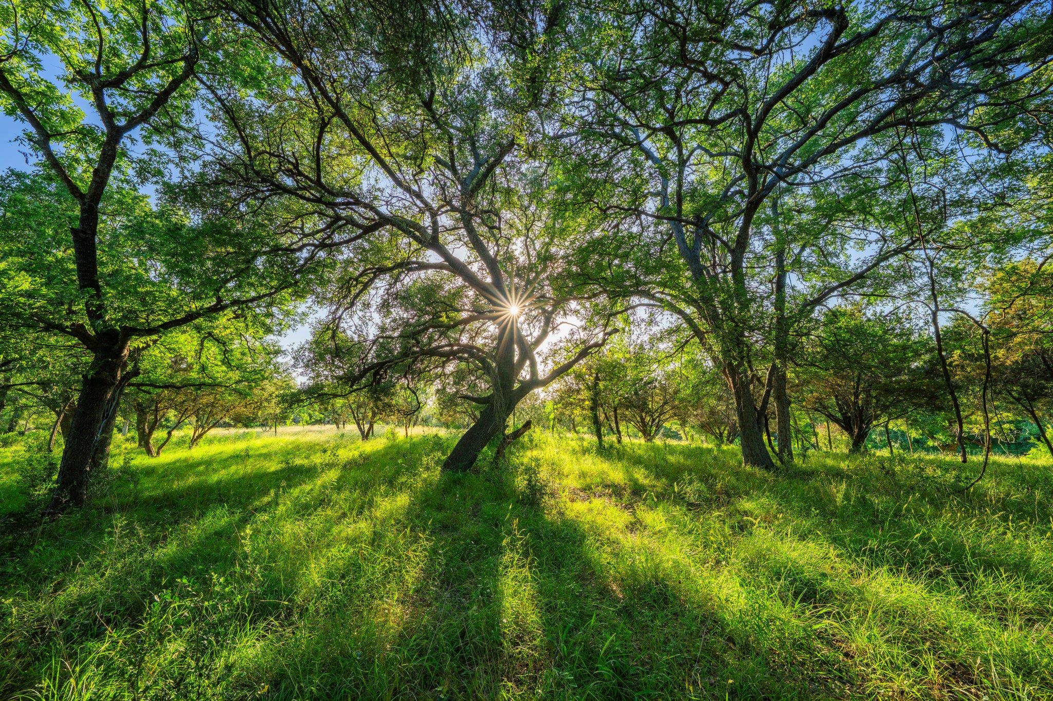 00 Ligon-Smith Lane, Johnson City, TX 78636