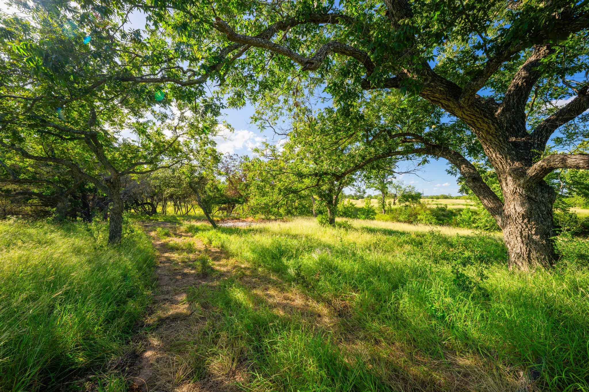 00 Ligon-Smith Lane, Johnson City, TX 78636