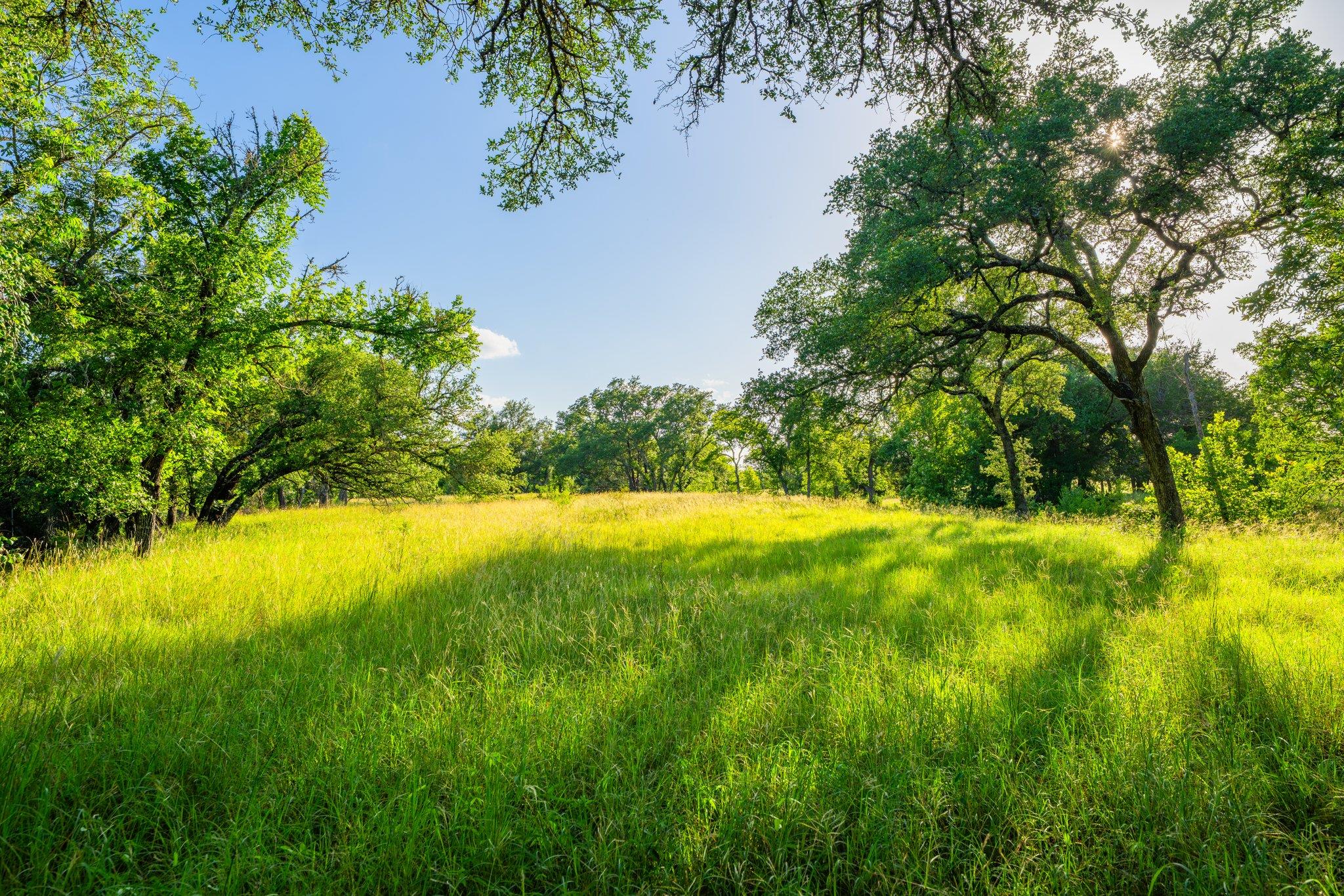 00 Ligon-Smith Lane, Johnson City, TX 78636