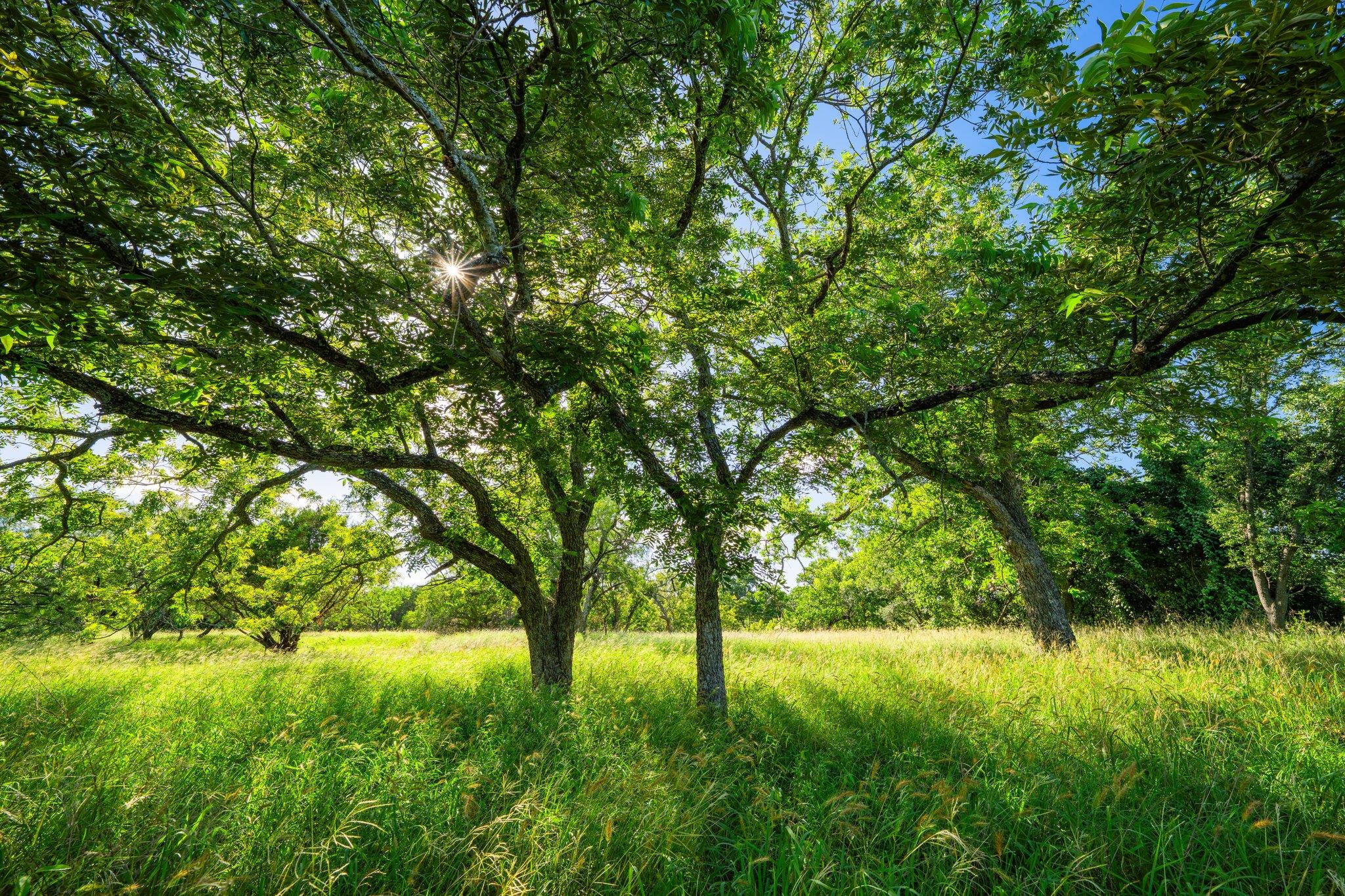 00 Ligon-Smith Lane, Johnson City, TX 78636